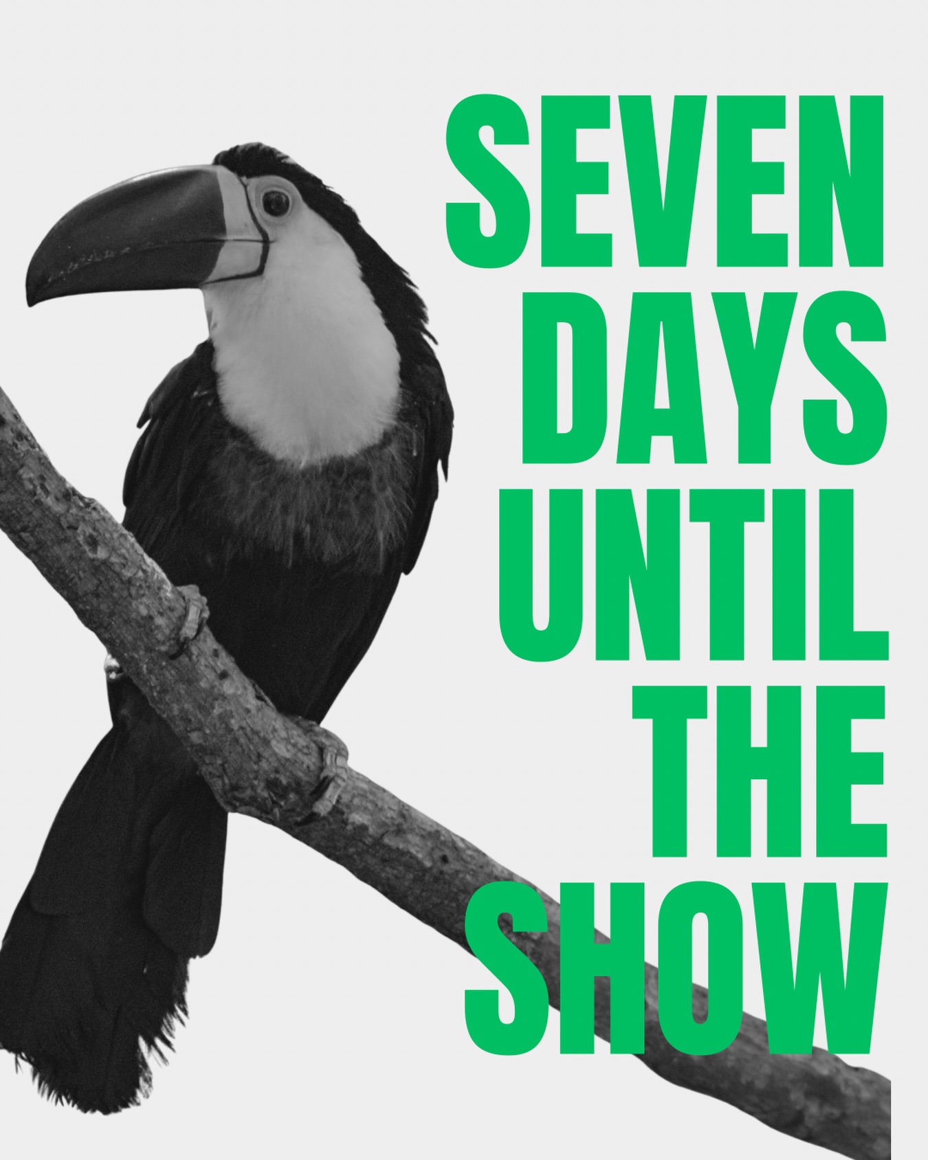 Adventure Is Out There is only ONE WEEK AWAY! Get your tickets from the Theatre on Foot website, and join our Tweens Stage Actors on a magical adventure full of cannibals, flying lawnmowers and magical bird poo! 💩