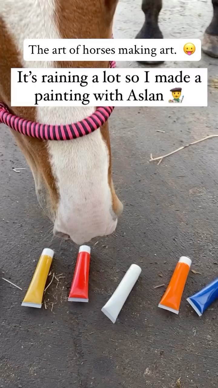 POV: your horse is now an abstract artist and you just manage his career. 😜
Horse: “I don’t just eat…I crEATe! 😂
👉 Would you hang this in your home?
🎥 @happyhorsemanshiptv
#horsebud #modernart #abstractart #bananaart #equineart