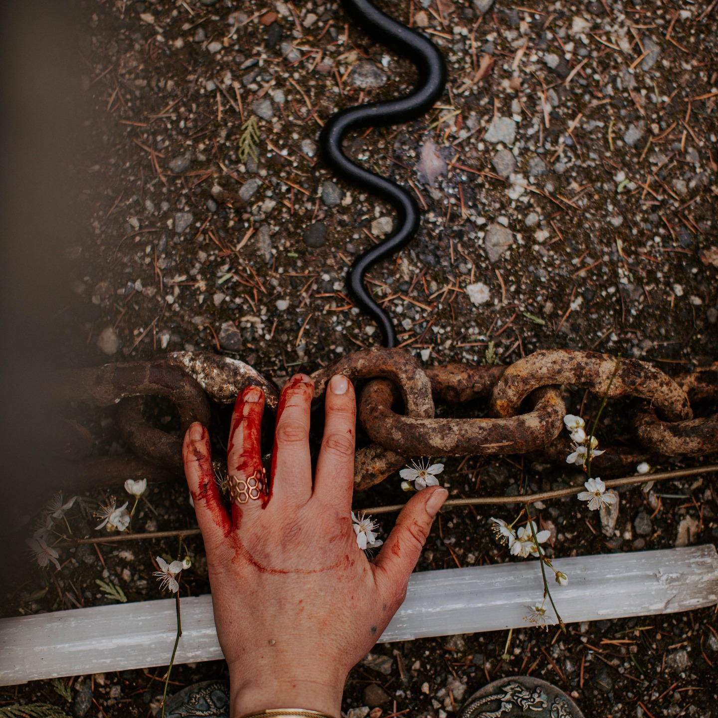 🐍🍀 Long live the #snakes.
Today I celebrate the #Irish Indigenous ways of my ancestors.
That trill through my voice and carve visions in my dreams.
As my hands weave prayers into my daughter's knee-length braids.
.
For you cannot burn away wisdom that is carried in our breath.
And breath we do.
Very much alive.
.
Today I celebrate #saintpatrick ( a Romano-British Missionary… very much NOT Irish) was unsuccessful at converting all the “snakes'' of Ireland into good Christians.
That is all.
Your freckled daughter
Saera Burns,
Daughter of Betty Ann Mac Siúrtáin (Jordan)
Daughter Of Jean Ó Lorcáin (Larkin)
Daughter of Lena Ó Fionnalláin (Fenlon)
____________
🧙🏼♀️On that note.....
So who wants to circle again and cackle with us as we invoke some truly delicious desires for ourselves and humanity with the next Spinners of Fate series! This practice continues to humble me as I hear testimonial upon testimonial of the miracles birthed from declaration magic.
🗓 DROP IN ♡
Fridays 7:15–9:15 PM | Ganges Yoga
Register for as many as you feel called
April 17th — Money & Resources
May 15th — Home & Belonging
June 12th — Relationships & Connection
🎫Coupon: BIGTHREE for 10% of series or Aprils class until Friday 20th
🔗 LEARN MORE in bio link
___
📷 by Jenny Ann Holden of @__infinitebody__ Wanna join me in her Creatura retreat in May?