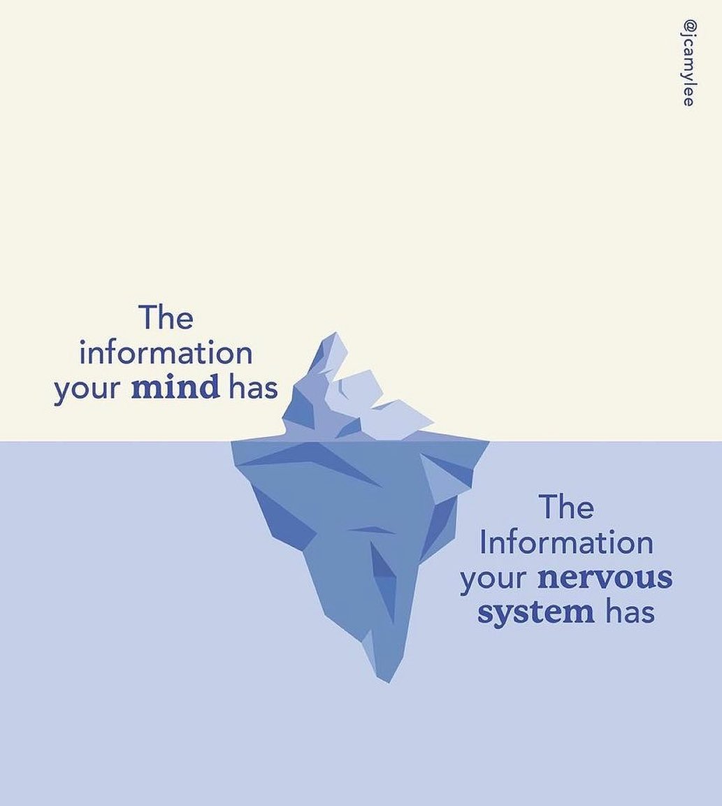 ✨When you’re questioning why you’re upset and are unable to identify where it might be coming from, remember this.✨
.
.
.
.
.
.
.
.
#njtherapist #nyctherapist #nytherapist #patherapist #njlcsw #njpsychotherapist #psychotherapist #mentalhealth #mentalwealth #mentalwellness #traumatherapist #selfimprovement #wellness #nervoussystem #nervoussystemregulation #nervoussystemhealth #selfregulation #healing #healingyourself #rewireyourbrain #anxious #trauma #traumahealing #traumarecovery #perspective #dothework #traumatreatment