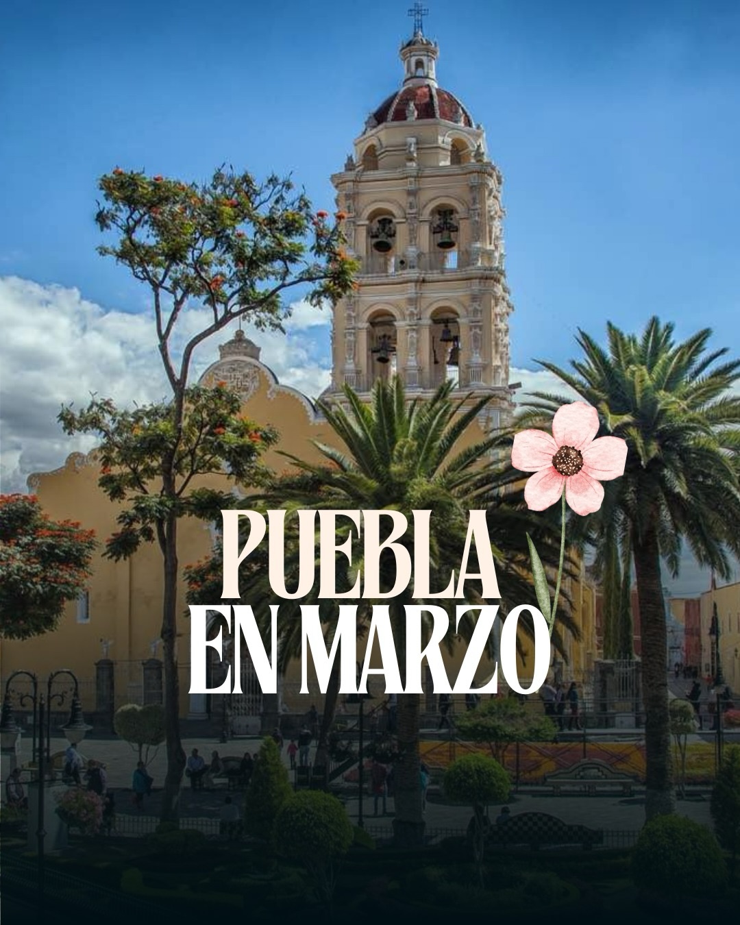 La mejor temporada para ir a Puebla está esta y nosotros estamos listos para recibirte :)
WhatsApp 222 520 9926
#puebla #atlixco #zacatlandelasmanzanas