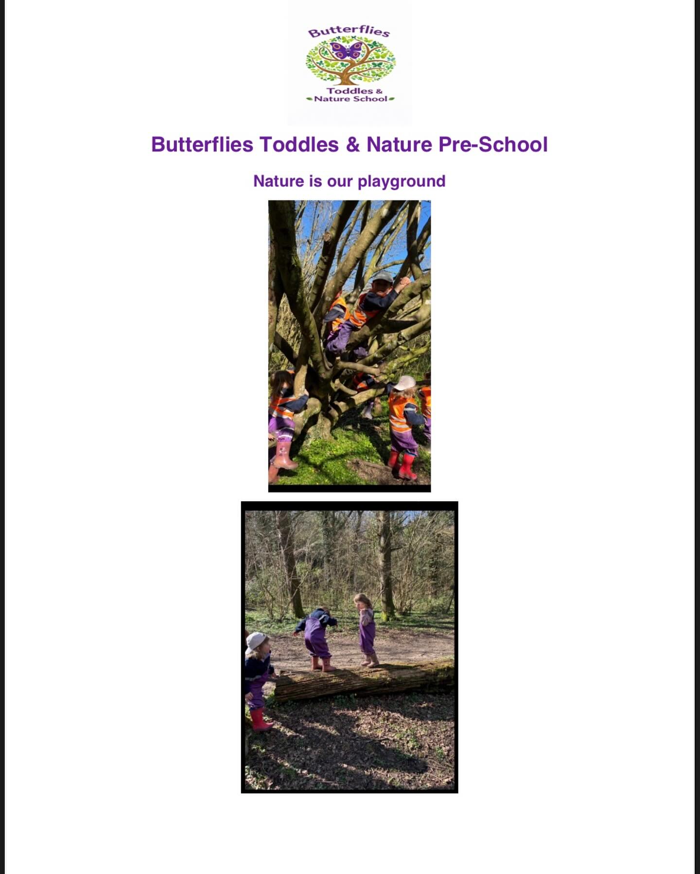 Spring All Day Adventures 🦋