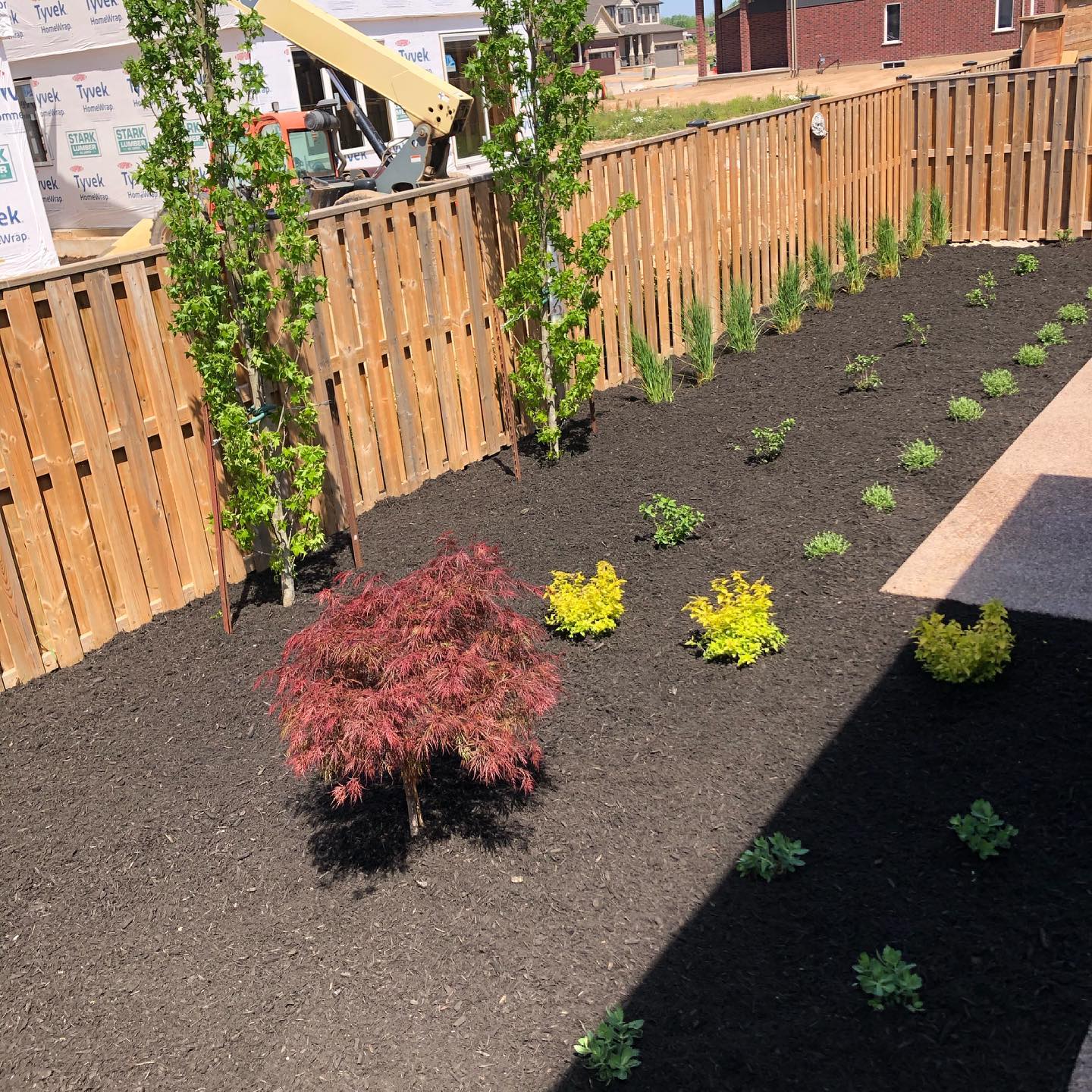 Beautiful weather for planting a beautiful backyard 🌳🌸🌞