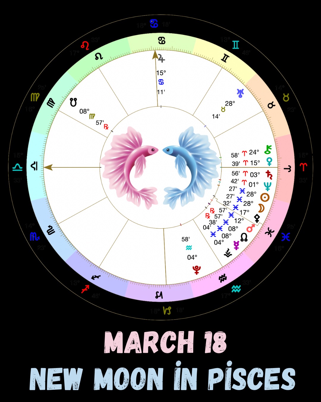 NEW MOON IN PISCES - 28°
The final dream before the fire begins.
Weāre at the end of a cycle with this New Moon.
Pisces is the last sign of the zodiac, so this is about release, closure, and letting things go, but not in a dramatic way. Itās more subtle. Things fading, dissolving, naturally coming to an end.
At the same time, thereās a big shift happening. A lot of planets are moving into Aries, and the energy is about to pick up fast. But before all that action begins, we get this moment to pause.
This New Moon is that in between space, between whatās ending and whatās about to begin.
Itās a good time to check in with yourself.
What are you ready to let go of?
What feels complete?
What are you holding onto that you donāt need anymore?
This is also a very intuitive and emotional energy, so donāt expect everything to make sense logically. Pay attention to how you feel, your dreams, your body, your reactions.
And try to slow down a little if you can.
Simple things go a long way right now: journaling, resting, creating, or just taking some quiet time for yourself. Being around water can be really helpful too, even if itās just taking a bath or being more ntentional when you drink water.
Our body is mostly water, so this is also about reconnecting with yourself in a very simple, physical way.
⨠Full video on this New Moon is now available on YouTube.
#astrology #astrologypost #astrologysigns #astrologyposts #astrologyreadings #astrology101 #astrologyanswers #astrologydaily #astrologyinsights #astrologyreport #astrologyforthesoul #astrologytoday #newmoon #pisces #aries #neptune #astrology2026