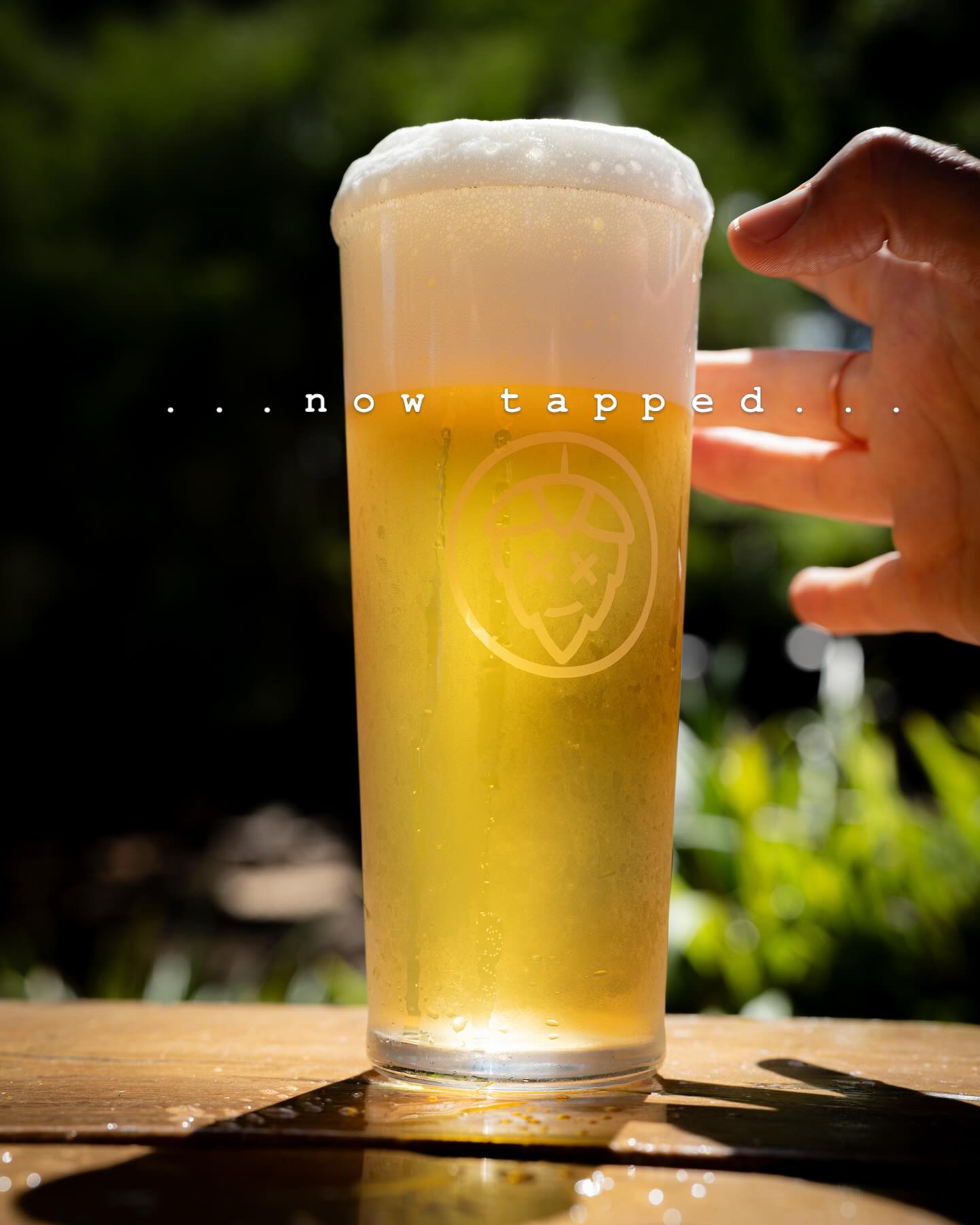 . . . Belgian Blonde // Summer Ale // NEIPA . . .
ELECTRIC SEX PANTS – Belgian Blonde 5.7%
Light orange to straw in colour with straw highlights and crisp white head.
Subtle toasty and nutty aromas are joined by bubblegum and floral spicy background notes.
A well-balanced bitterness is met with a low to medium body. A subtle malt sweetness travels across the palate followed by a dry finish.
POST-SUMMER BUMMER – Summer Ale 4.6%
Light yellow to straw in colour with a bright clarity and crisp white head.
Punchy citrus aromas are presented upfront and are joined by notes of passionfruit and freshly cut grass.
Light to medium bodied with an approachable bitterness and light malt profile.
Dry hopped with Motueka and Citra.
WE DON’T DO PIZZA – NEIPA 6.3%
Light orange in colour with an opaque haze and clean white head.
A pronounced note of nectarine is blended amongst pungent aromas of citrus and background tropical fruits.
Full-bodied with a low level bitterness and lingering oat sweetness.
Dry hopped with Taiheke, El Dorado and Citra.
#Wildhopbeer #perthbeersnobs #beerporn #wildhopbrewery
#yallingup