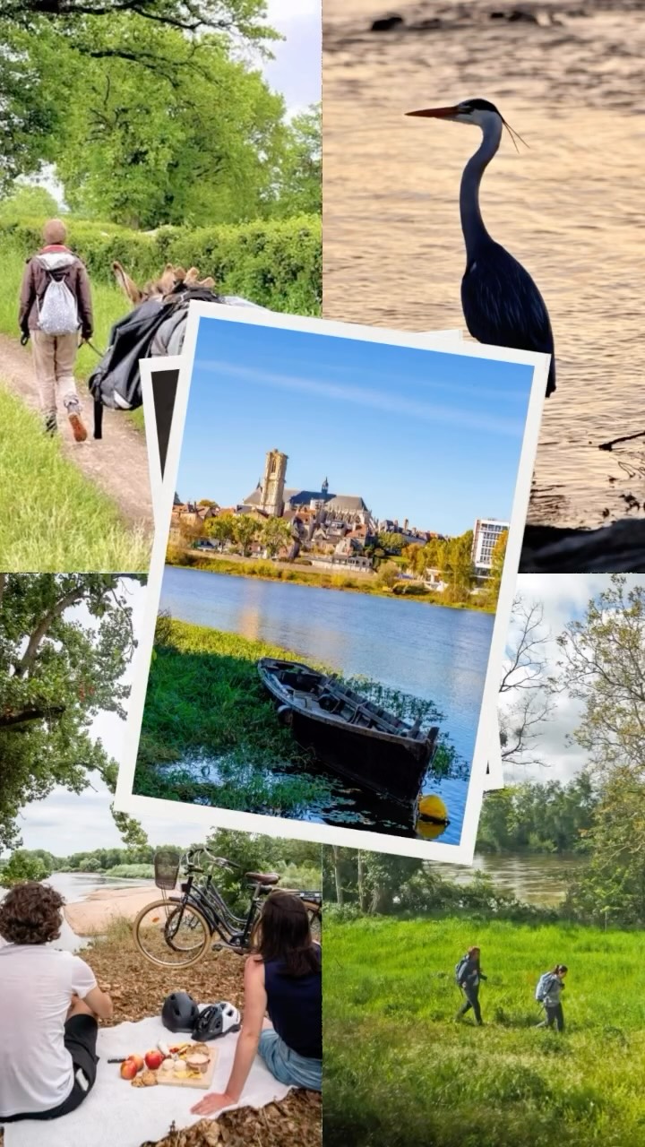 5 bonnes raisons de venir découvrir la destination ✨
#Loireenvie #voyageenFrance #bourgogne #loirevalley #loire
📷C.Jorandon - Le Grand Charolais - Ad2T du Cher - DSL 71 Xavier_and_Caroline - D.Darrault - Carnets de Rando - LB Rando - Pierre Demaillet - C.Mouton - DSL 71 Les Coflocs - Kevin LAURET