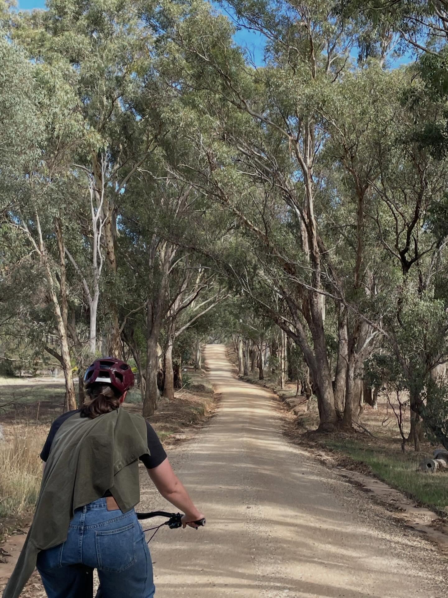 Sorry for late posting, we’re riding tonight!! 6:15 for 6:30 roll out. Darling Gardens rotunda. Bring lights, lock and a rain jacket! See ya!