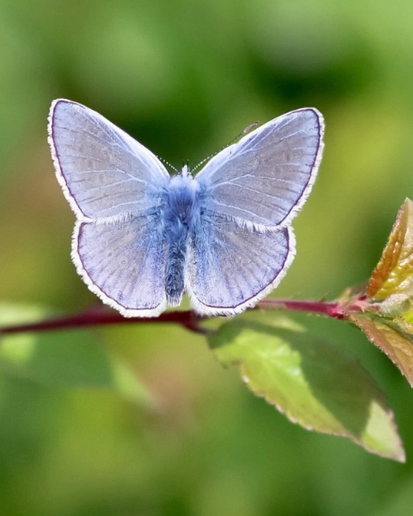 Der Mai im Frigoulet ist so ein bisschen unser Geheimtipp 🤍
Am Morgen liegt noch diese frische, klare Luft über dem Gelände – genau die perfekte Zeit, um aufs Bike zu steigen oder eine Wanderung zu machen. Die Temperaturen sind angenehm, die Wege ruhig und die Stimmung einfach besonders.
Und kaum steigt die Sonne höher, fühlt es sich plötzlich an wie mitten im Sommer – warm, lebendig, genau richtig für Pool, ein langes Mittagessen im Schatten oder einfach Nichtstun.
Auch die kleinen Dörfchen rund ums Frigoulet zeigen sich jetzt von ihrer schönsten Seite: ruhig, ursprünglich, mit genau der richtigen Mischung aus Leben und Gelassenheit. Märkte, leere Gassen, erste lange Abende draussen.
Für mich ist der Mai einer dieser Monate, die man fast ein bisschen für sich behalten möchte – weil er einfach alles hat, aber noch ohne die grosse Sommerhektik.
Vielleicht genau der richtige Moment für eine kleine Auszeit? 🌿✨