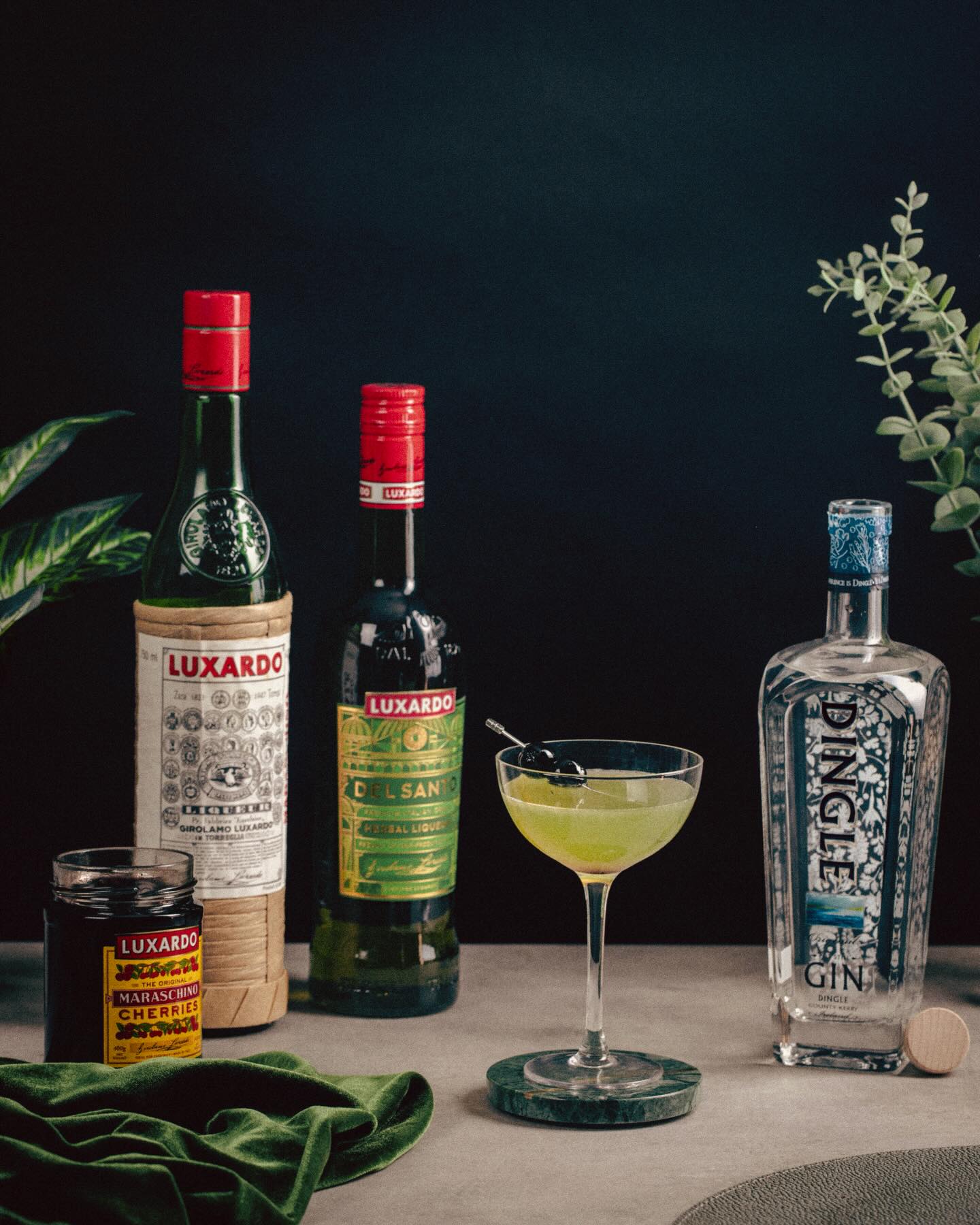 Irish goodbye? we prefer an Irish Exit ๐The Irish Exit brings together bright citrus, herbal depth, and a touch of Italian character with Luxardo Del Santo alongside the crisp botanicals of @dingledistillery Irish Gin. Smooth, refreshing, and just the right amount of unexpected for St. Patrickโs Day celebrations.