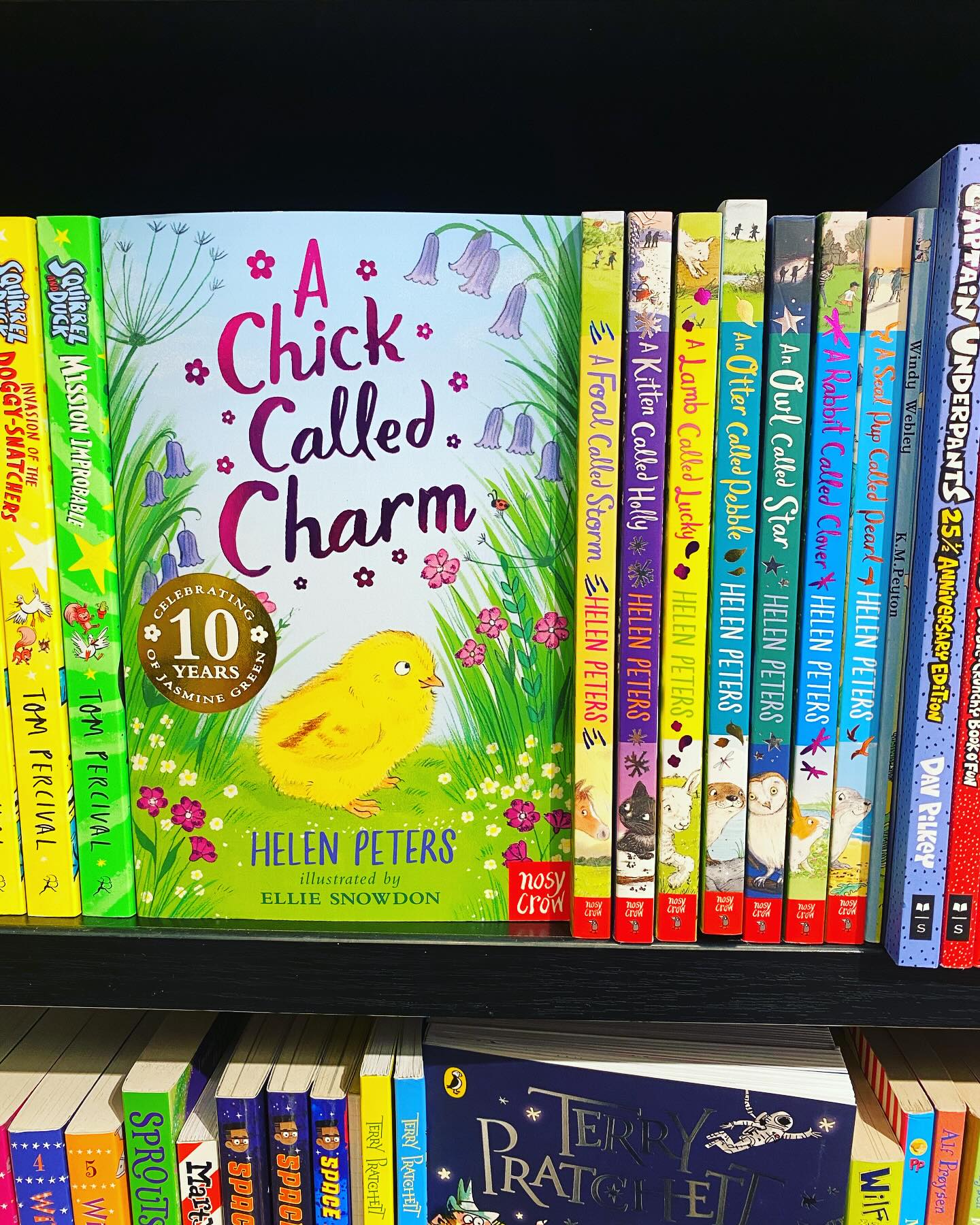 Lots of signed copies of A CHICK CALLED CHARM by me and @snowdon_illo in beautiful @piccadillywaterstones now, plus other books in the Jasmine Green series, the Hannah’s Farm trilogy and Friends and Traitors, all published by @nosycrow.
Thanks so much to the children’s booksellers for making me so welcome.🐥🦭🐴📚📚📚