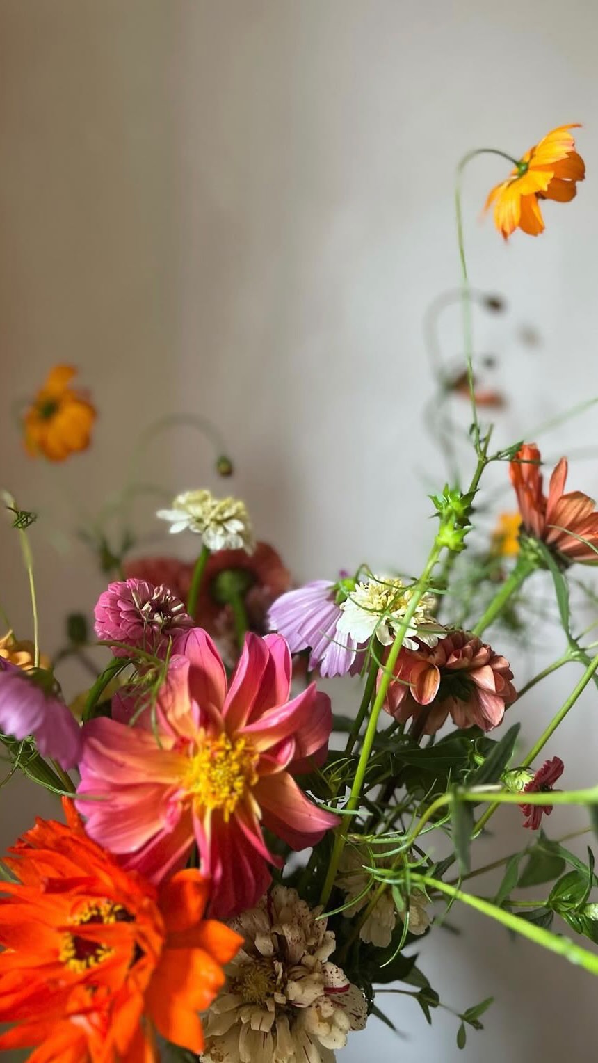 When community is built into your business model —> ✨✨✨
Stream Episode 760 featuring Elizabeth Brown of @foxglovefarmhouse this Wednesday, March 18th!
#slowflowerssociety #slowflowers #luffa #slowflowersmovement #sustainablefloristry