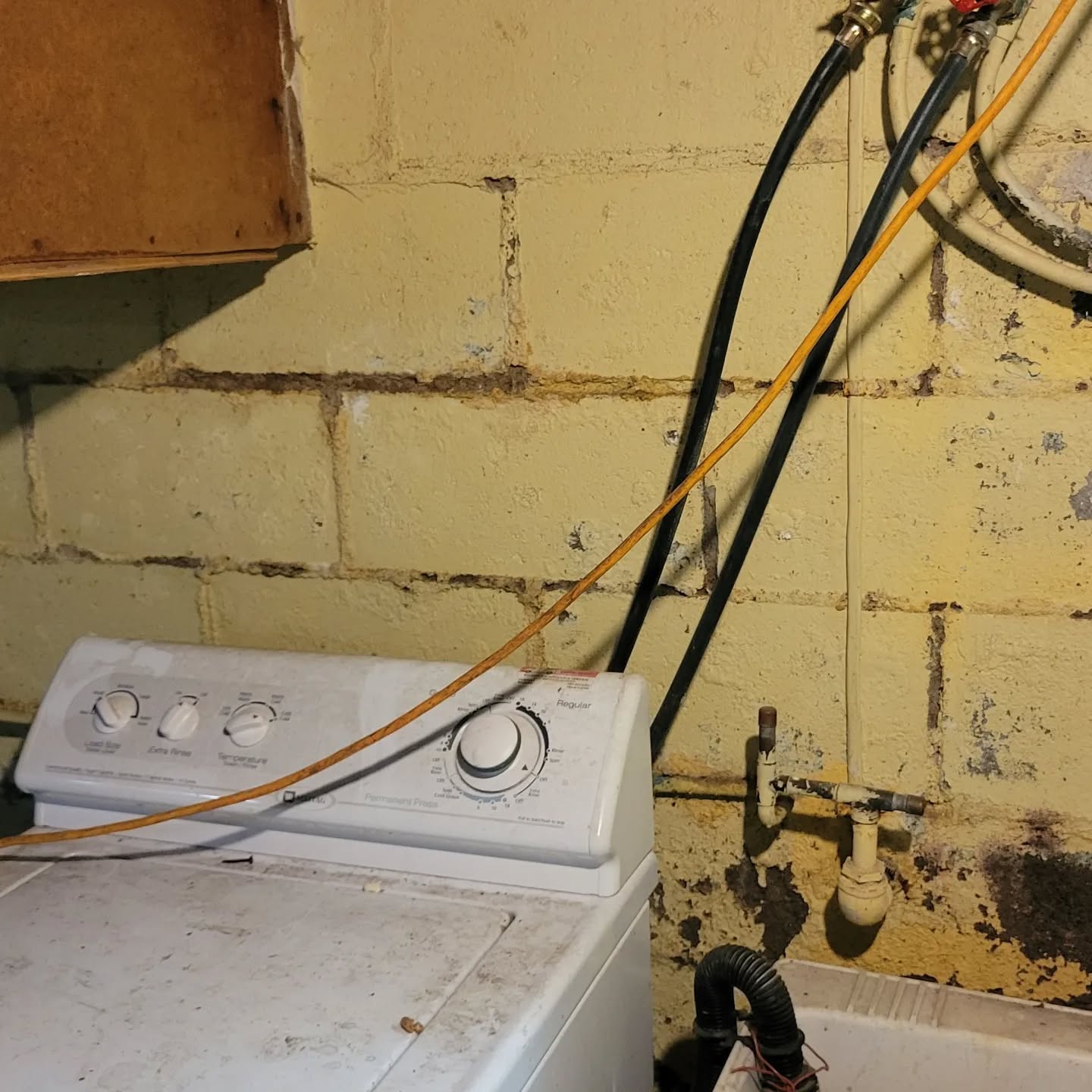 Improper water mitigation outside a house can lead to multiple issues inside the house.
This house has multiple cracks in the foundation walls, chimney, and evidence of black mold inside the bathroom walls. All that will lead to bigger issues if not property treated. And that could have been avoided if proper drainage and proper sealing had been installed originally, or maintained over the past 70 years of this house's lifespan.
As for the goat infiltration... I'm just a lowly engineer, and that's above my pay grade.
.
.
.
.
.
.
.
.
.
.
.
.
.
.
#wateryougoingtodoaboutit #youcrackmeup #masonry #CMU #reallifegoatsimulator