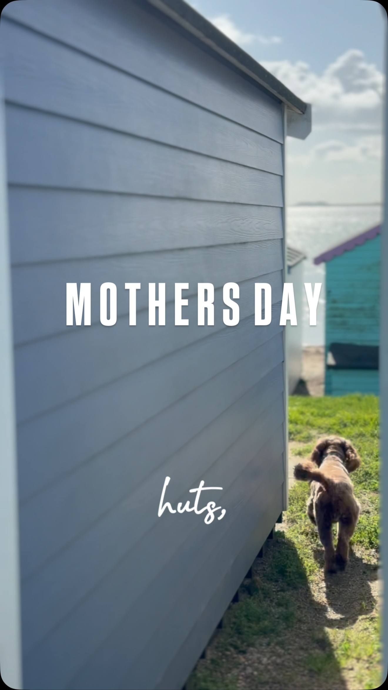 Mother's Day tomorrow... ✨
So Disco and I spent the morning making sure the huts were perfect 👌🏼
What are doing for your mum tomorrow? ✨
Jo xx
📍Mersea Beach Hut 213
#mothersday #beachhuts #beachhuthire #merseaisland #essex