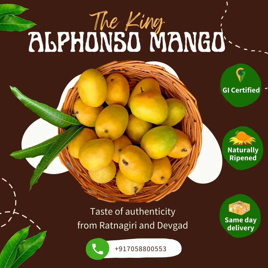 Alphonso Mangoes delivered to your doorstep in Pune 🥭
✓Premium Quality Alphanso
✓Same day quick delivery in Pune
✓Replacement for spoilt mangoes
✓Cash on delivery
Place your order now : +917058800553
