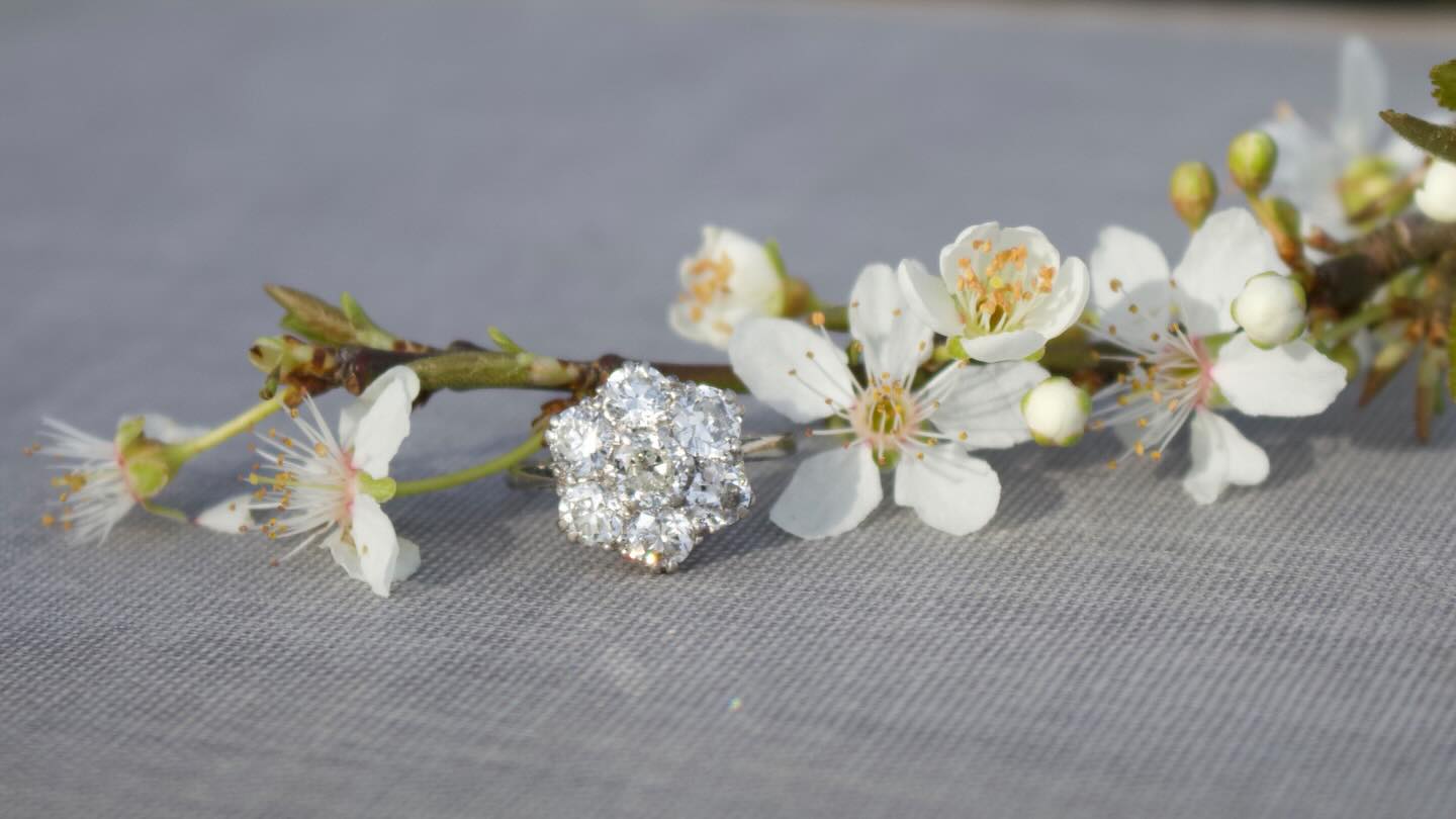 Super stylish Art Deco old cut diamond cluster ring in platinum circa 1930
Just arrived, not yet listed 💍
#mondaymotivation #artdecojewelry #jewellery #engagementring #diamondring