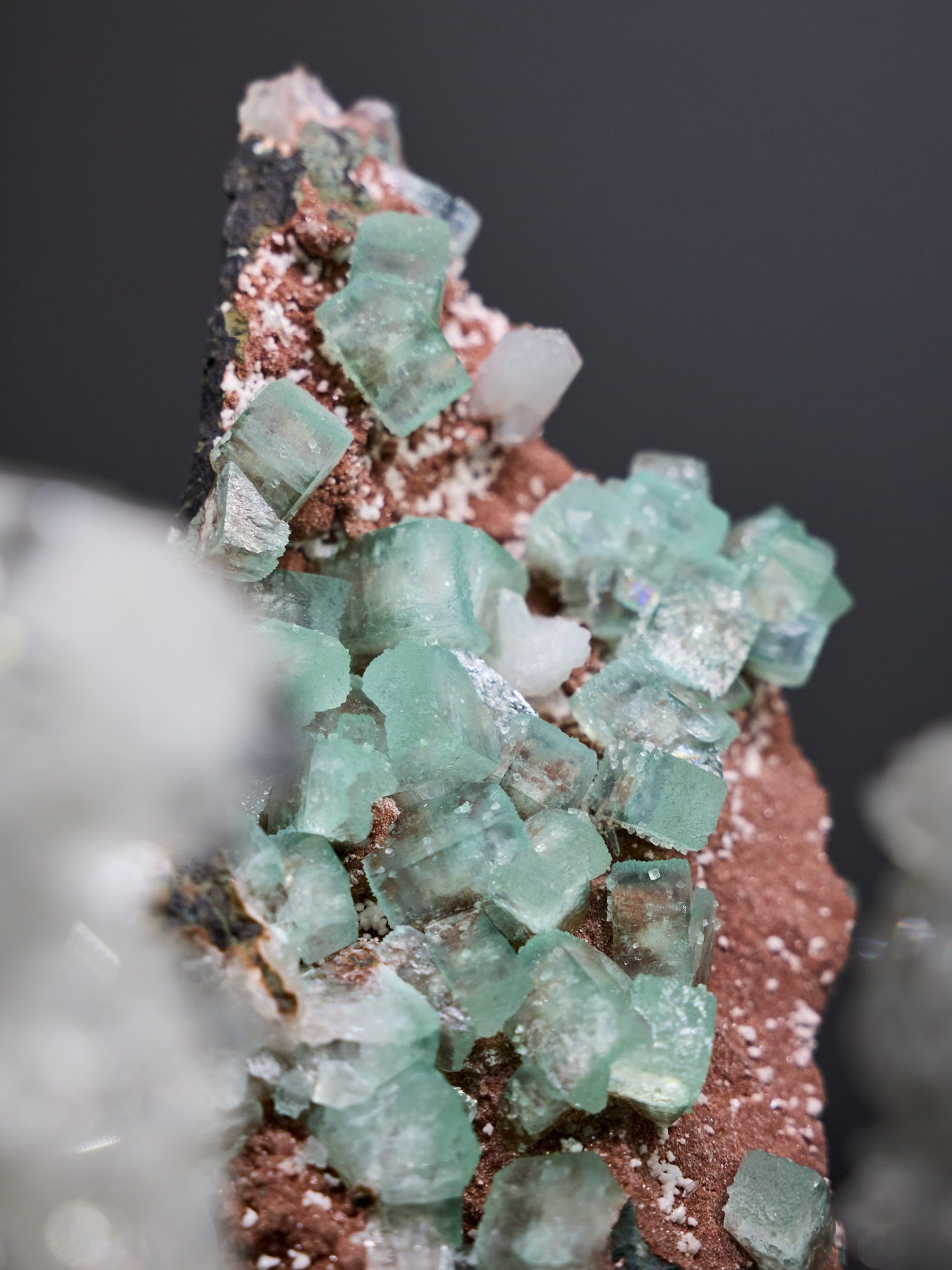 MINERAL MONDAY ✦ GREEN FLUORITE
Spring is slowly arriving - even in the mineral world.
This beautiful green fluorite from Spain forms in perfectly shaped cubic crystals, one of the most characteristic crystal shapes found in nature. Its fresh green colour almost resembles the first shades of spring appearing in nature.
Fluorite is admired by collectors for its remarkable clarity and its geometric perfection. Few minerals display such sharp and elegant crystal forms.
Fun fact:
Fluorite crystals often grow in perfect cubes because of the way their atoms arrange themselves in a highly ordered structure - nature’s own geometry at work.
A small natural masterpiece, shaped deep within the Earth over millions of years.
#mineralmonday #mineralmoments #mineralienhotel #mineralhotel #minerals #mineralmuseum #fluorite #fluoritecrystal #greenfluorite #earthtreasures #mineralcollector #mineralcollection