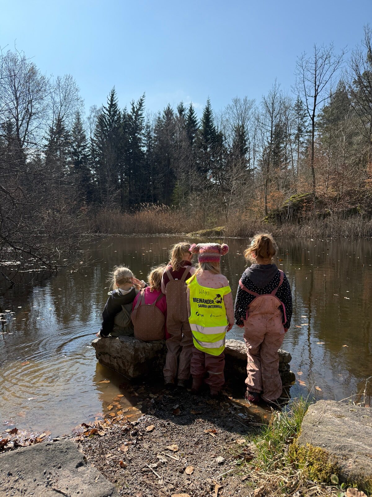 Wir waren mit unserer Vorschulgruppe am Bühlhauweiher unterwegs 🌿✨
Gemeinsam haben wir viel Spannendes über Kröten gelernt. Ursprünglich wollten wir sie in ihr Gewässer begleiten, damit sie dort sicher laichen können. Leider waren an dem Tag keine Kröten unterwegs. Wir vermuten, dass es zu kalt war.
Trotzdem konnten wir zwei Erpel beobachten, die eifrig nach Futter im Wasser gesucht haben 🦆
Solche Erlebnisse zeigen immer wieder, wie wertvoll es ist, Natur mit allen Sinnen zu entdecken 🌱