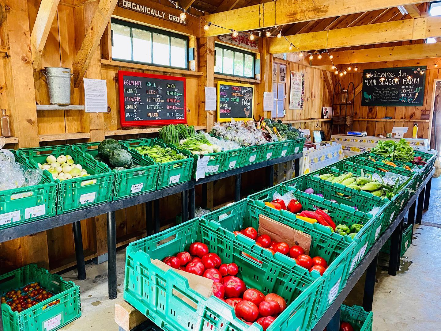 Sweet corn at the Farm Stand tomorrow Sat 8/13 10am-12pm! Plus the full summer bounty including watermelons, sweet peppers, and heirloom tomatoes. Shop early!
#fourseasonfarmstand #fourseasonfarm