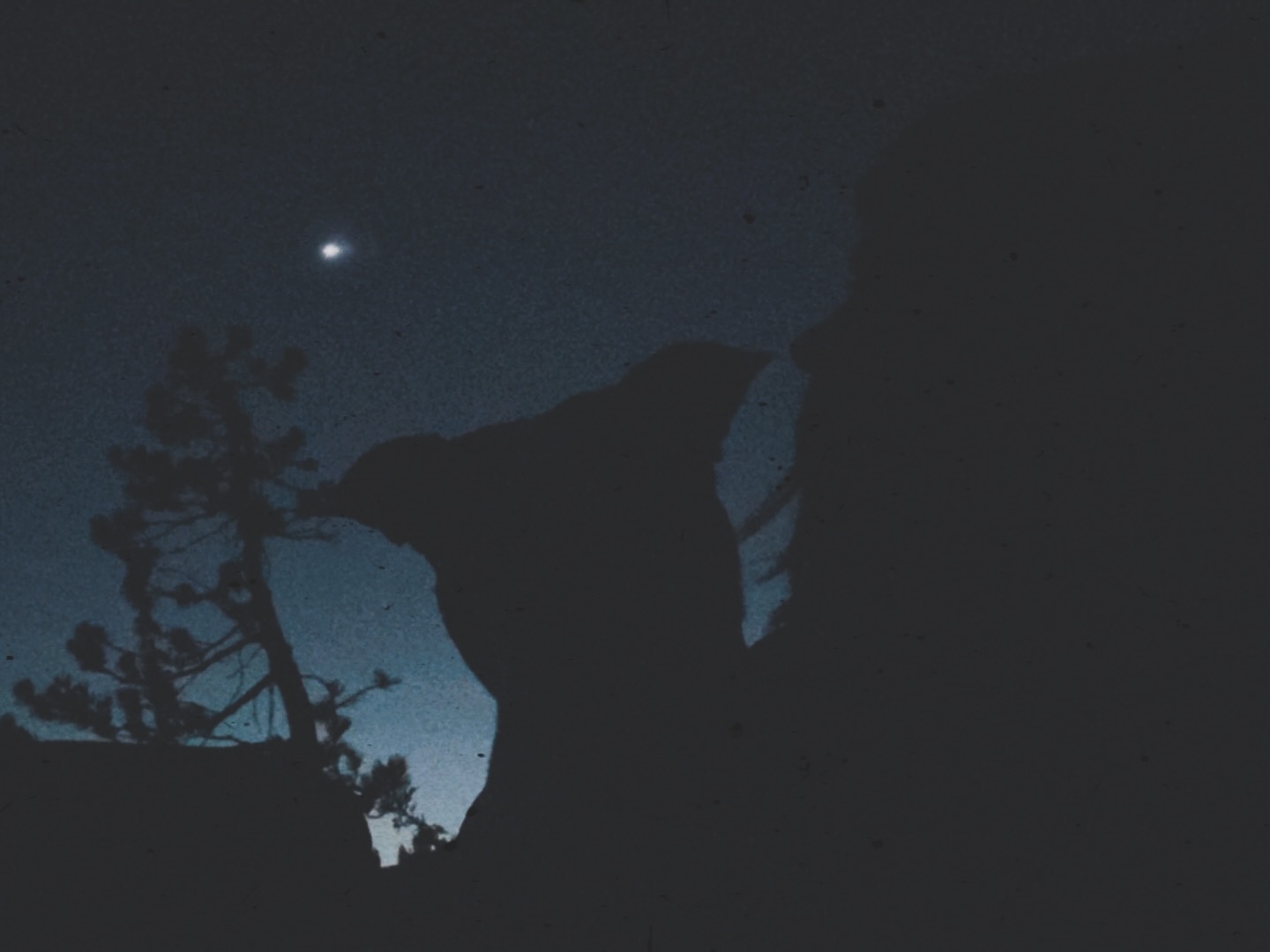 Happy birthday to the sweetest thing I ever did know⨠I miss our cuddles in bed and days out on the trail, our road trips w you in my lap, and our ridiculous games of hike and seek. You were the most constant source of beautiful energy I have ever experienced and I am forever grateful you were entrusted to me. I love you sweet Hankerman. Keep droppin in on me. I feel you in those rainbows and see you in every bright color in the sky.
Shine on Bubbamanš¤š¤
11/11/11