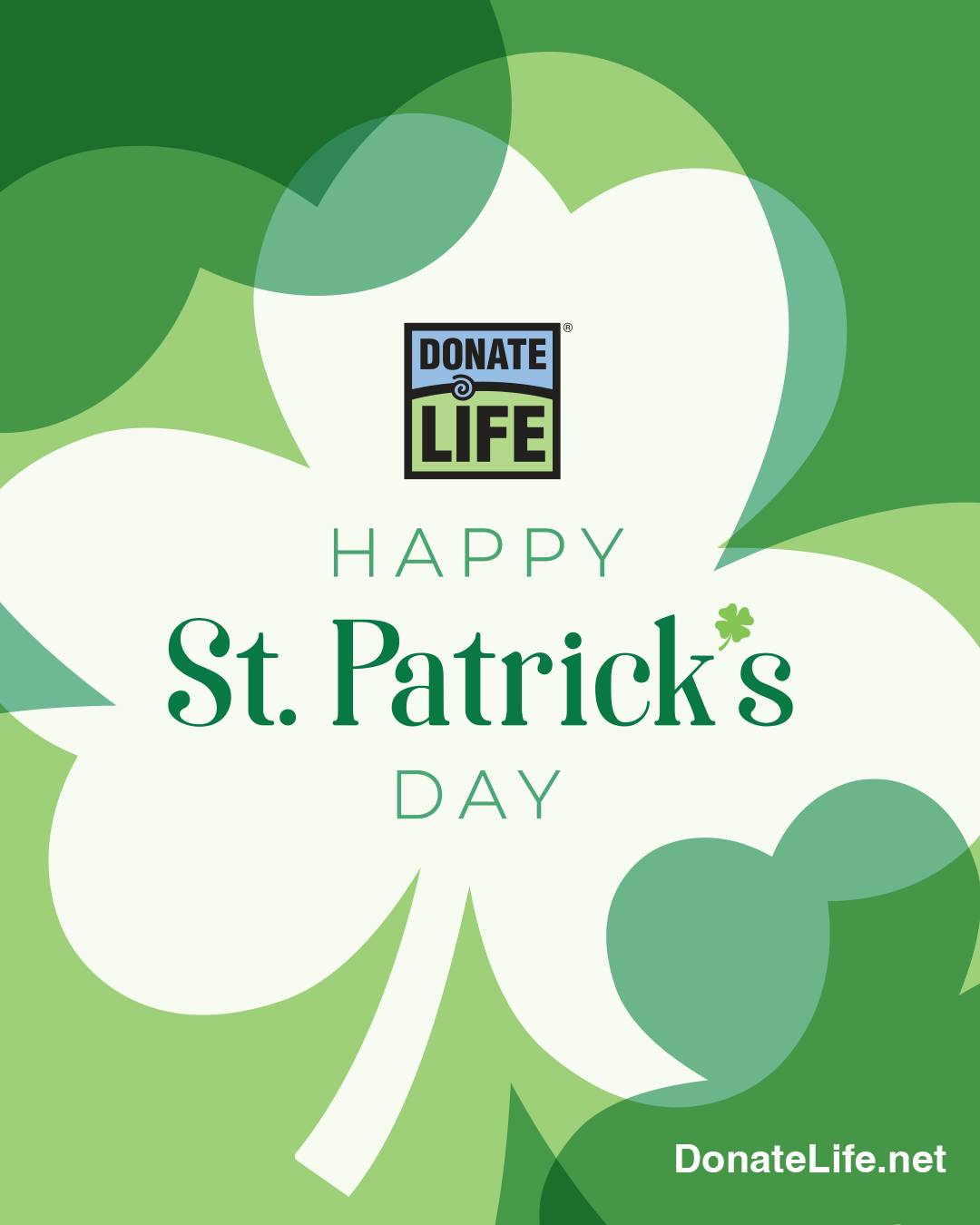 Who needs a pot of gold when you have student advocates saving and healing lives? 🍀 Happy St. Patrick’s Day from SODA!