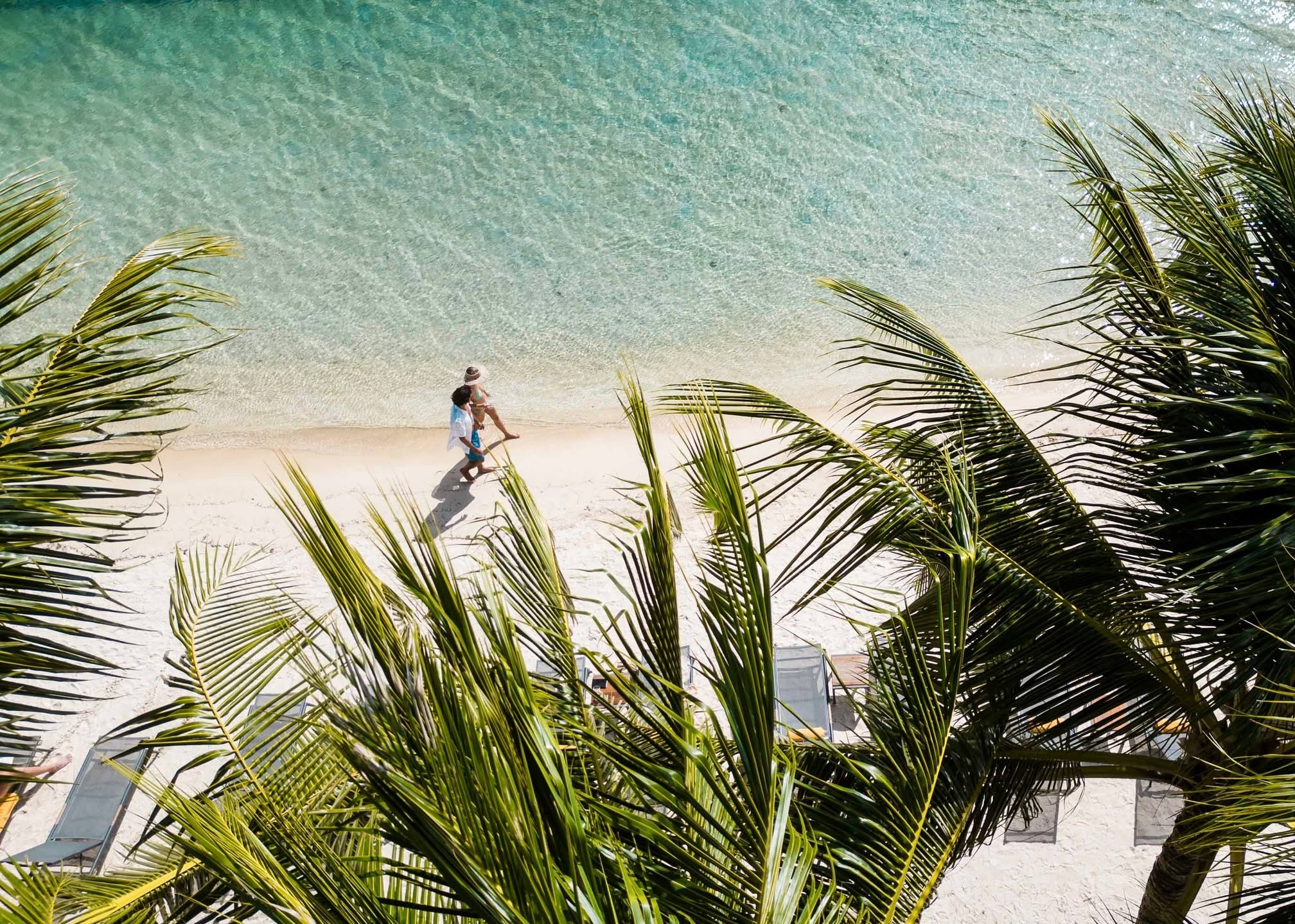 Descalzos, de la mano, paseando junto al lagon de aguas cristalinas.
El verdadero lujo está en estos momentos compartidos, entre serenidad y complicidad.
.
Barefoot, hand in hand, strolling along the crystal-clear lagoon.
True luxury lives in these quiet shared moments, softness and connection.
📷 @manavamoorea
#MoemoeaTravel #PolinesiaFrancesa #FrenchPolynesia #IslandRomance #LuxuryTravel #BarefootLuxury #CoupleEscape #TimelessMoments #LoveTahiti