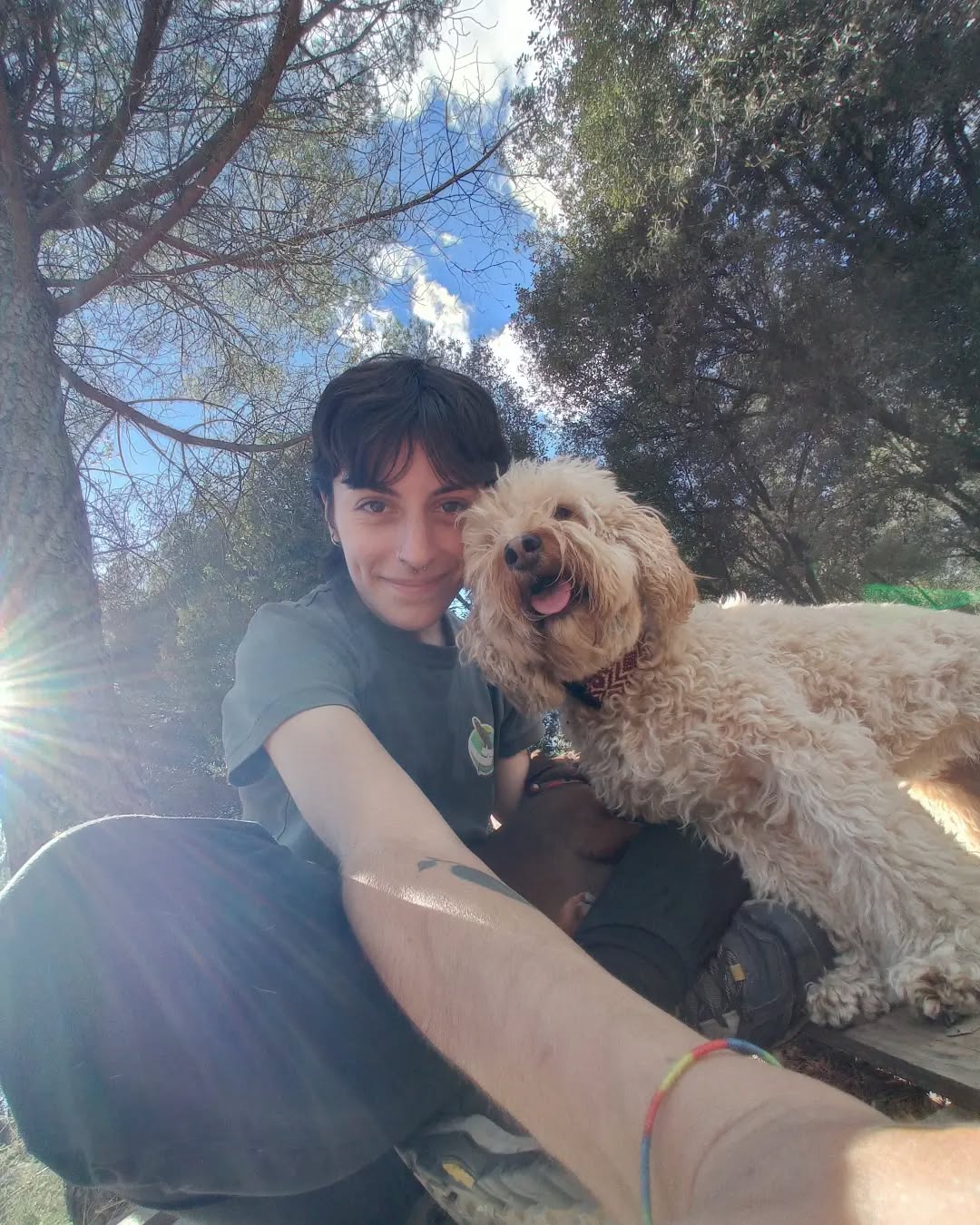 🧑🏽+🐶+🤳🏻
.
.
.
.
.
.
.
.
.
.
#daycarelife #dogsitting #dogslife #forest #dogwelfare