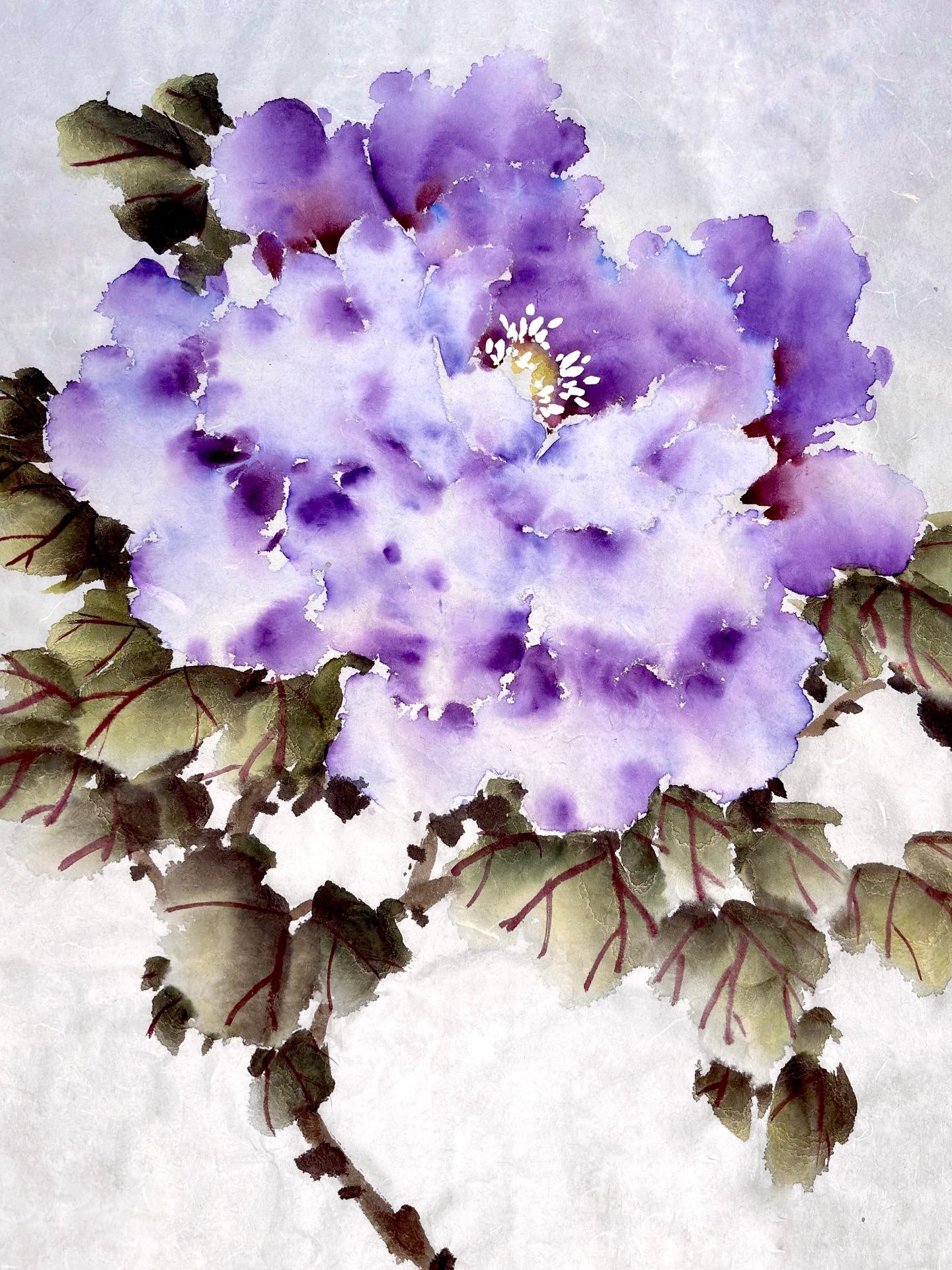 Officially flower season!
#springequinox
#peony
#chinesebrushpainting
#dragoncloud