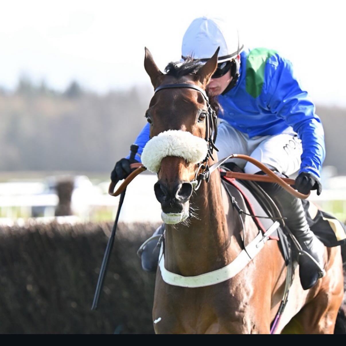 Sherborne wins today @exeterraces ridden by @freddiegingell11 for Geoff Kennington & Geoff Nicholas 👏🏻
@coralofficial
@dodsonhorrell