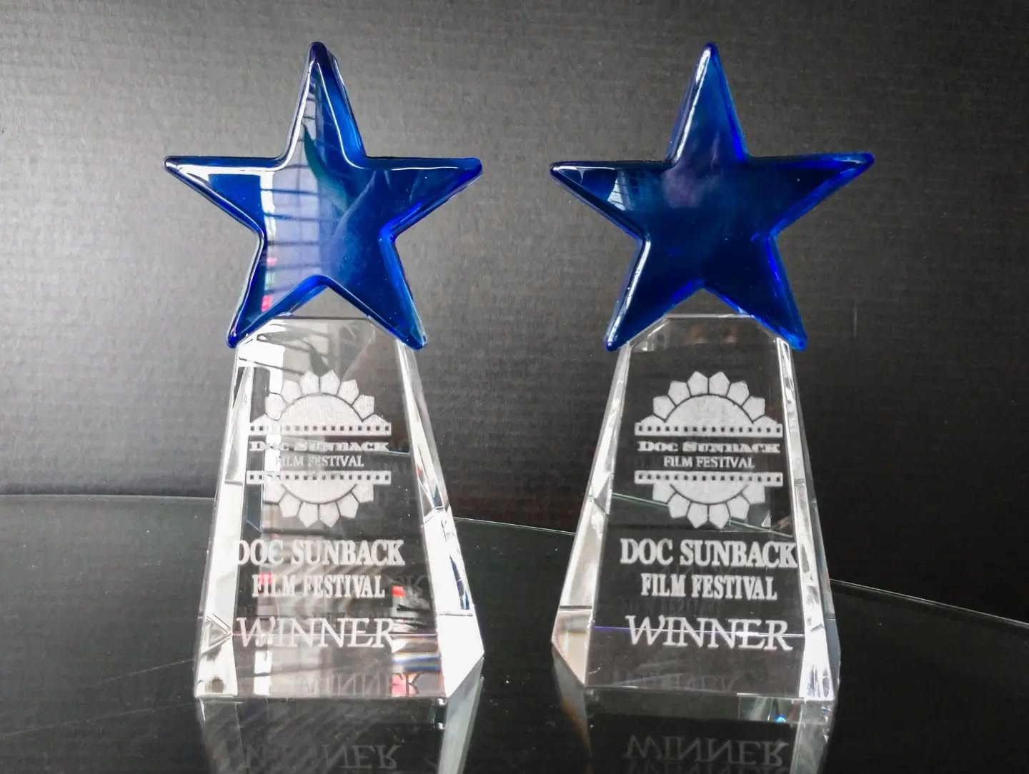 Our team came home with two awards from Doc Sunback Film Festival! Santa's Night Out won Best Comedy and MicroKansas - Tribulation won Best Overall Film. DSFF has always been one of the most supportive fest for independent filmmakers.
.
.
.
.
.
.
@docsunbackfilmfest
@bobbyobermite
@thomasbirdeno
@gottarace55
@lynnwimer
@lex_cruzz
@jordanhorsch
#naturefilm
#christmasmovies
#film
#filmmakers #docsunbackfilmfestival
#bluebarnproductions
#filmfestival
#filmmaker
#independentfilm
#documentary
#comedy