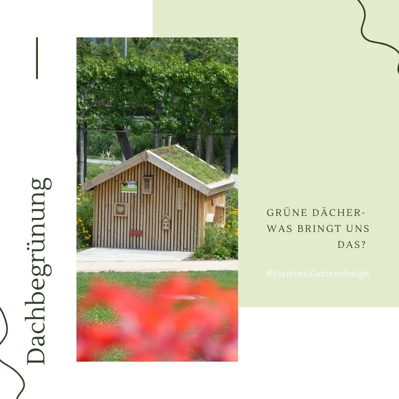 💡Wusstest du, wie wertvoll GRÜNE DÄCHER sein können?
Hast du vielleicht schon grüne Dächer zuhause? Wie & wo wurden diese umgesetzt? Auf dem Haus, Carport, Gartenhäuschen oder dem Vordach?
Wurde eine extensive oder intensive Bepflanzung ausgeführt oder sogar in Kombination mit PV-Anlage? 🌱
Schreib's gerne in die Kommentare! 😊
.
.
.
.
.
.
.
.
.
.
.
.
.
.
.
#Landschaftsarchitektur
#Landschaftsgestaltung #landschaftsfotografie #landscapedesign #Gartengestaltung #gardendesign #garteninspo #gartenjournal #gartenbau #gartenblog #gartenkonzepte #grünoaseinderstadt #grünanlagen #grünoase #grünerwohnen #grünimgarten #grünkonzepte #gestaltungstipps #gestaltungsideen #pflanzkonzepte #pflanzideen #staudenkombinationen #gründach