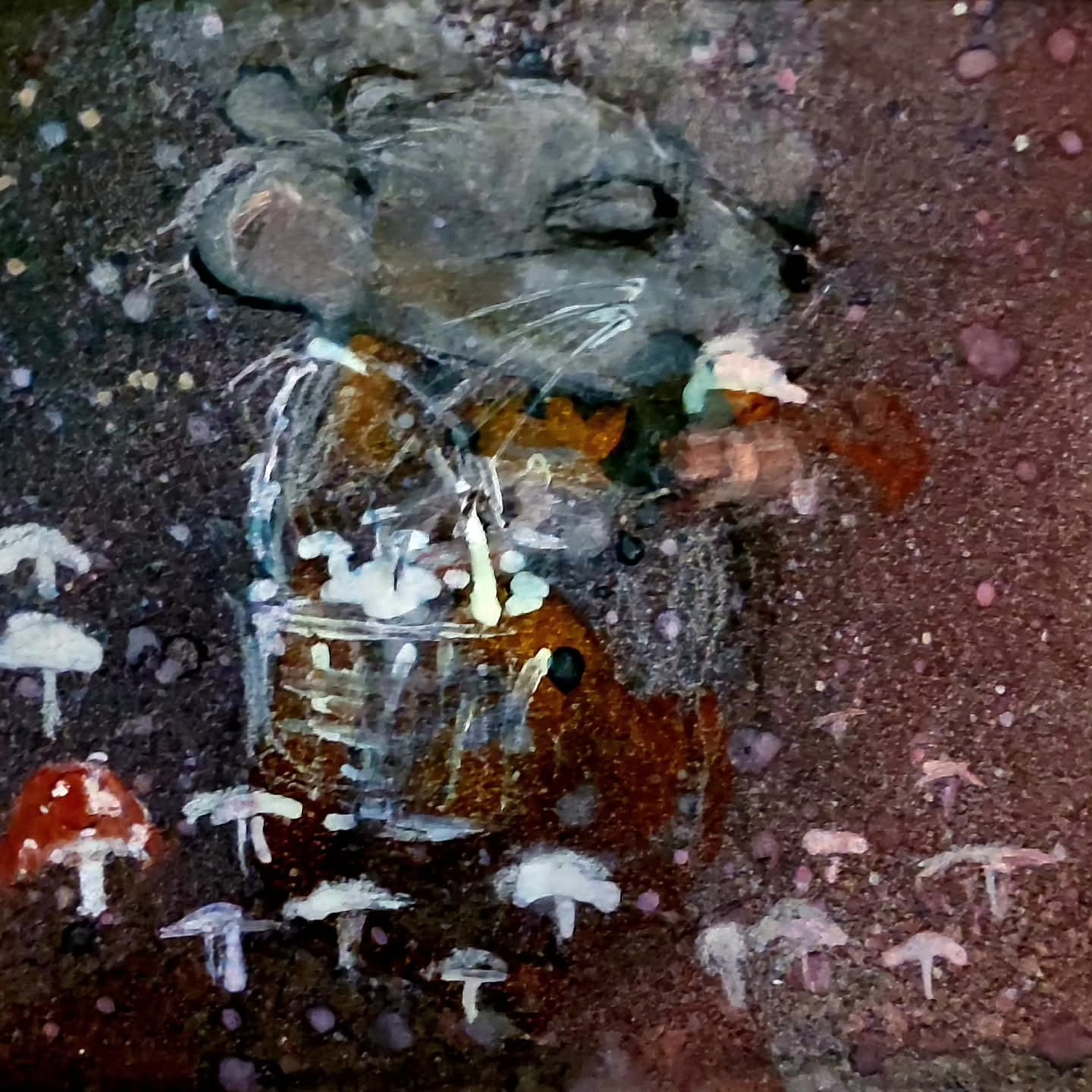 Unwinding with art tonight led me to a whimsical fairy ring where a mouse foraged for mushrooms. Alcohol ink, mica powder, charcoal, acrylic on 5x7 piece of repurposed matboard. Untitled. #miceofinstagram #illudtration #alcoholink #mushroomart #cottagecoreaesthetic #cute