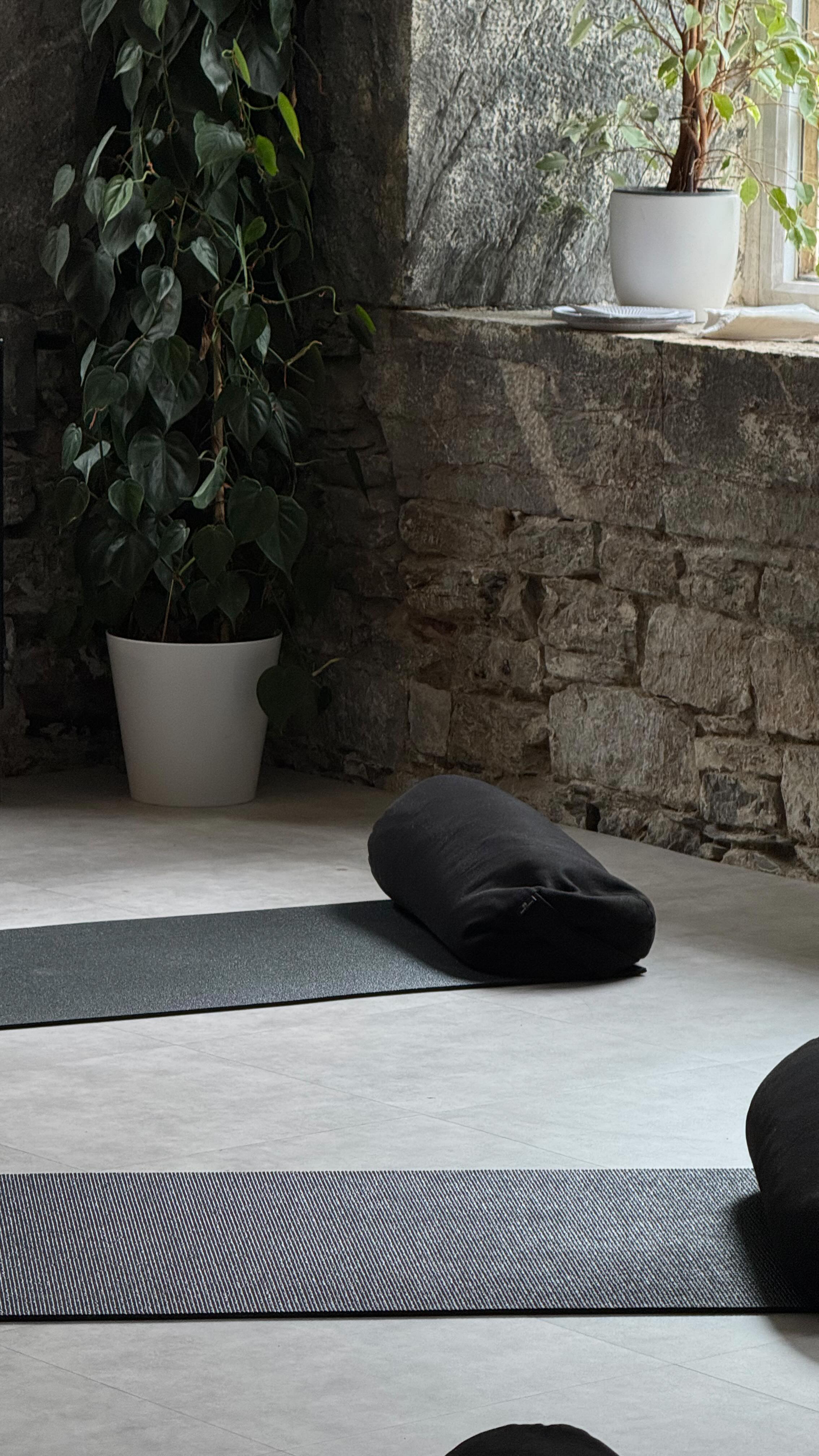 No equipment full body flow ❤️🔥 I personally LOVE this move to work the whole body
#pilates #matpilates #pilatesflow #pilatesworkout #pilatesmatwork