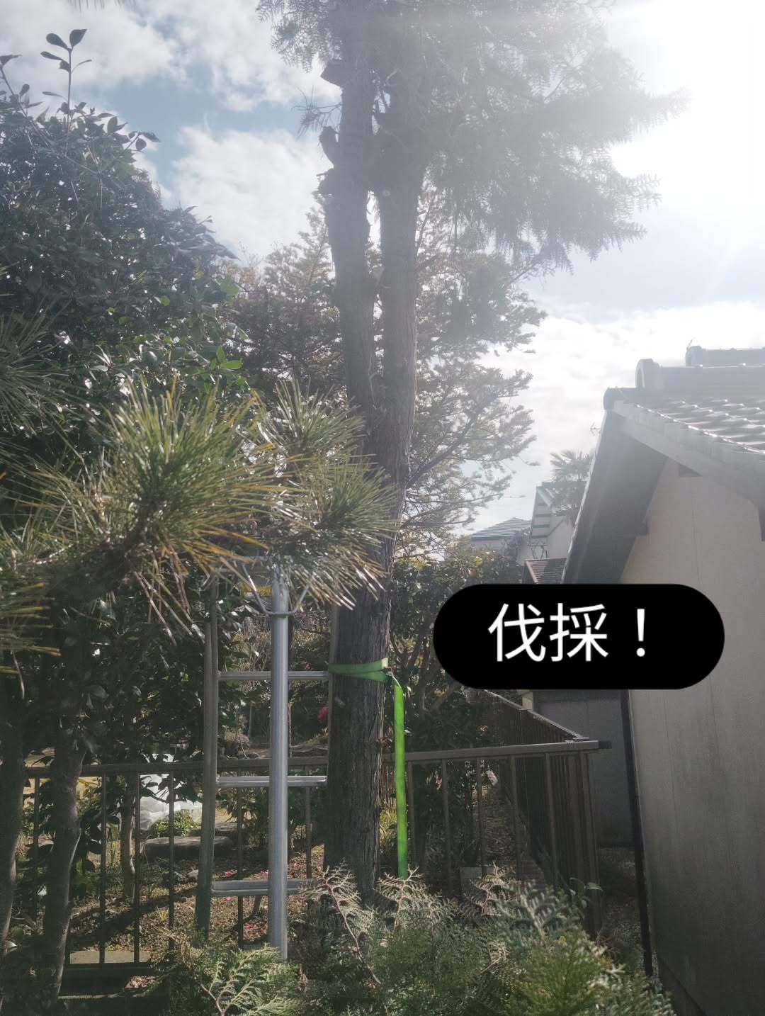 春日井市で伐採作業!その他剪定させて頂きました。だいぶ暖かくなってきて、顧客さま、ご新規さまからのご連絡が増えてきました。誠にありがとうございます。
#春日井市
#剪定
#草刈り
#伐採
#高蔵寺造園