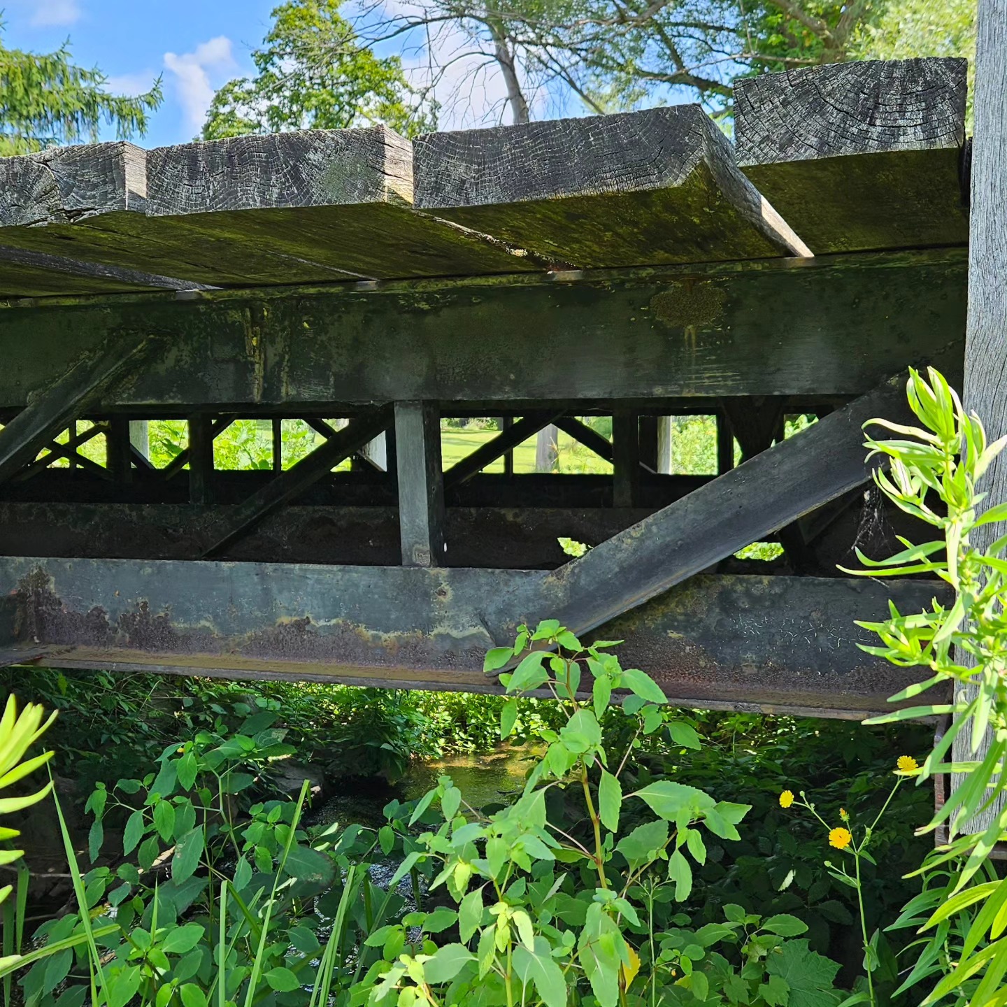 Summer adventures!
1. New steel Bridge design
2. Basement new slab
3. Removing pesky walls
4. Removing pesky chimneys
5. Load bearing electrical lines
6. Bouncy floors caused by a poor rotted 2x8 holding 4 other joists 🤦♂️
7. How the Bills played on Monday
.
.
.
.
.
.
.
.
.
.
.
#goodtobeback #isteeldontunderstand #woodyougivemeabreak #youcrackmeup #shockingdiscoveries #tenoutofrotten
#GoBills