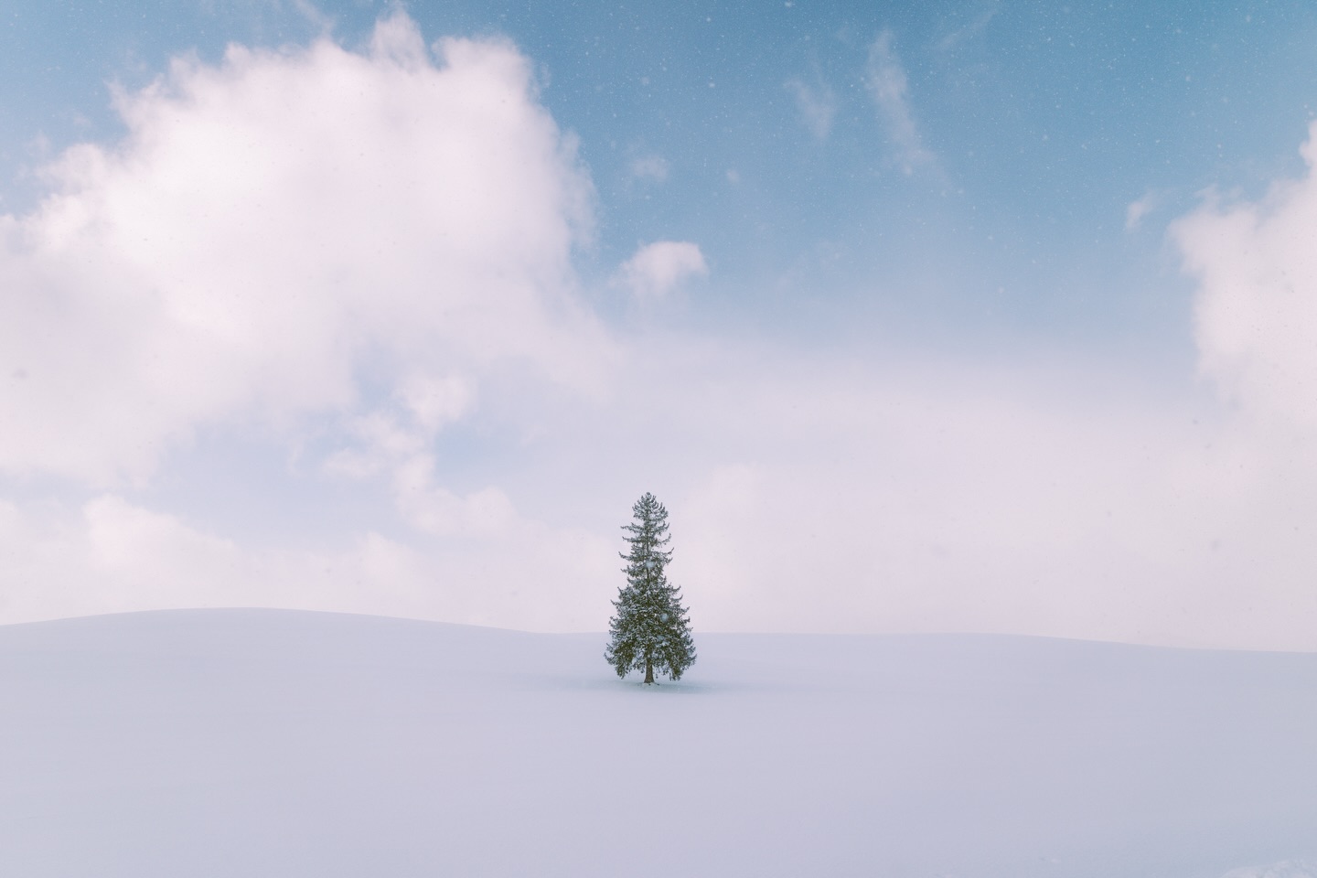 POV: you’re in the countryside of Hokkaido, driving through sunshine and snow storms, passing by waterfalls and train tracks, life felt peaceful.
.
.
#hokkaido #hokkaidojapan #japanwinter