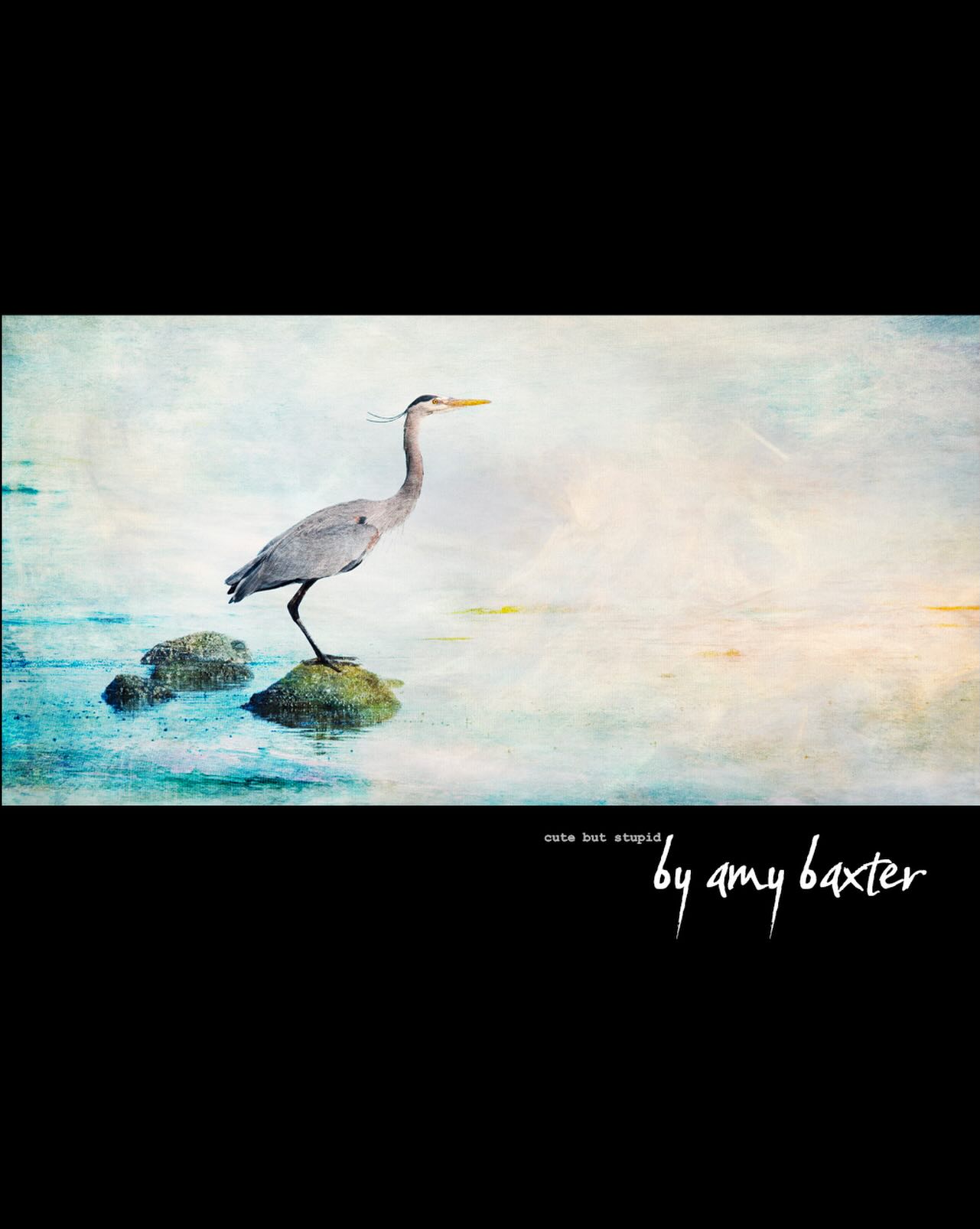 Standing there like he’s got all the answers… while I’m ankle-deep in the water trying not to fall over.
But it’s the calm, the quiet. The pause between breaths—this is why I keep coming back.
when the sea breathes…
15x30
#greatblueheron #coastalcalm #natureart #westcoastvibes #artofstillness