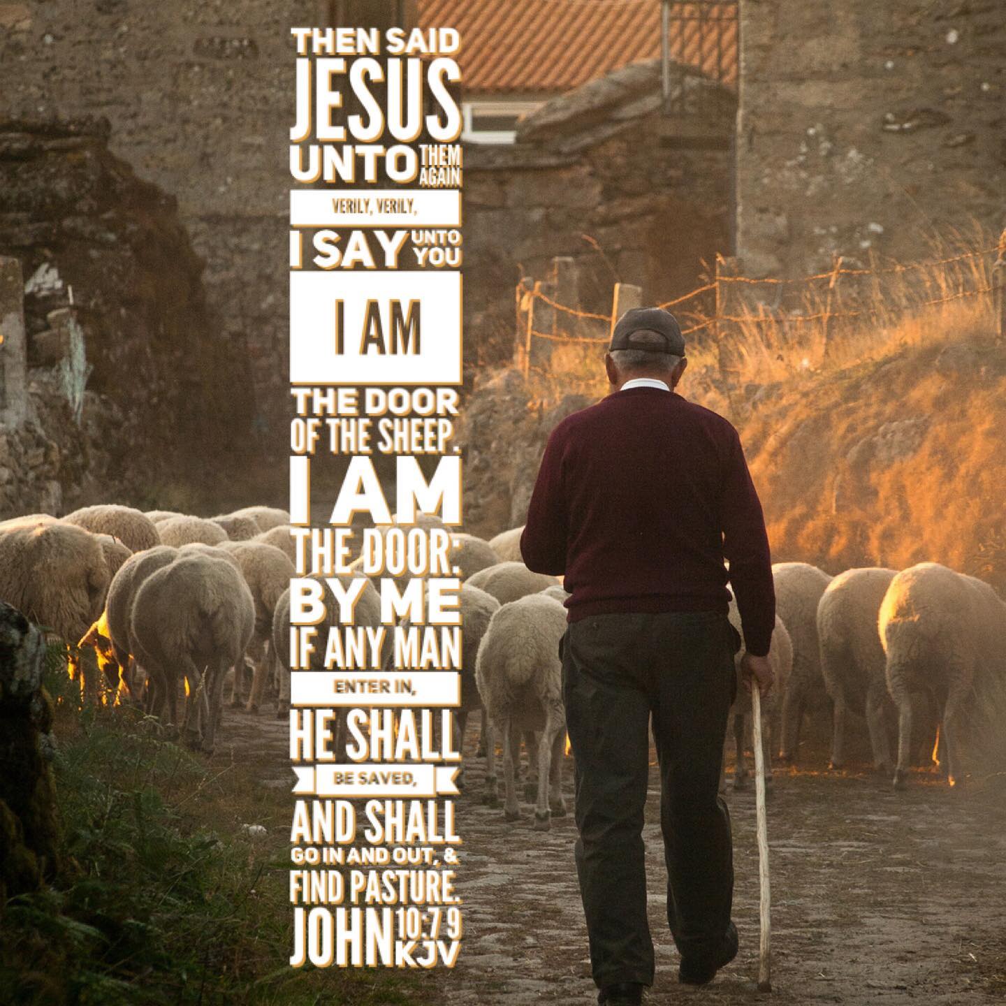 I love the promise of this verse!
#followtheshepherd #shepherdshowmehowtogo #elpastor #guidance #guiaespiritual