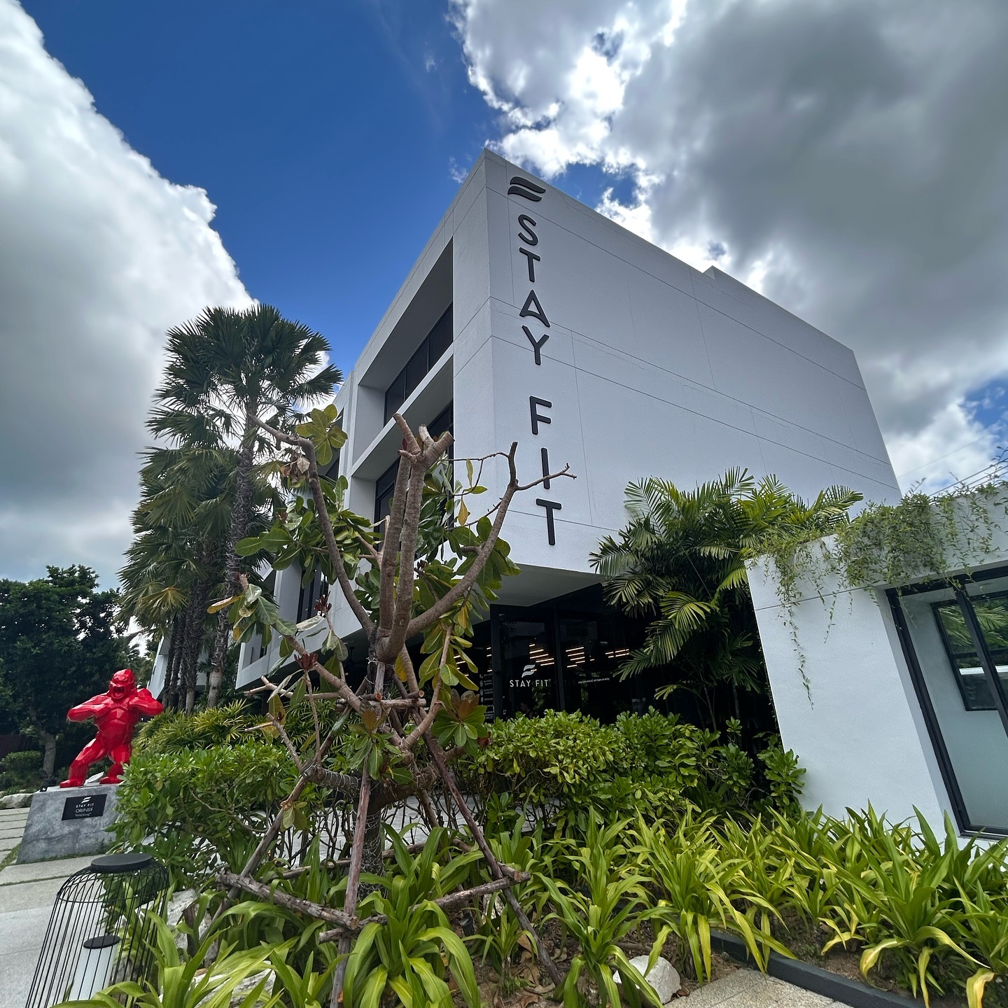 Embracing the tranquility of island life 🧘♀️
.
.
.
.
.
.
#Wellness #Beach #Summer #discovernessara #travel #explore #potd #asia #photography