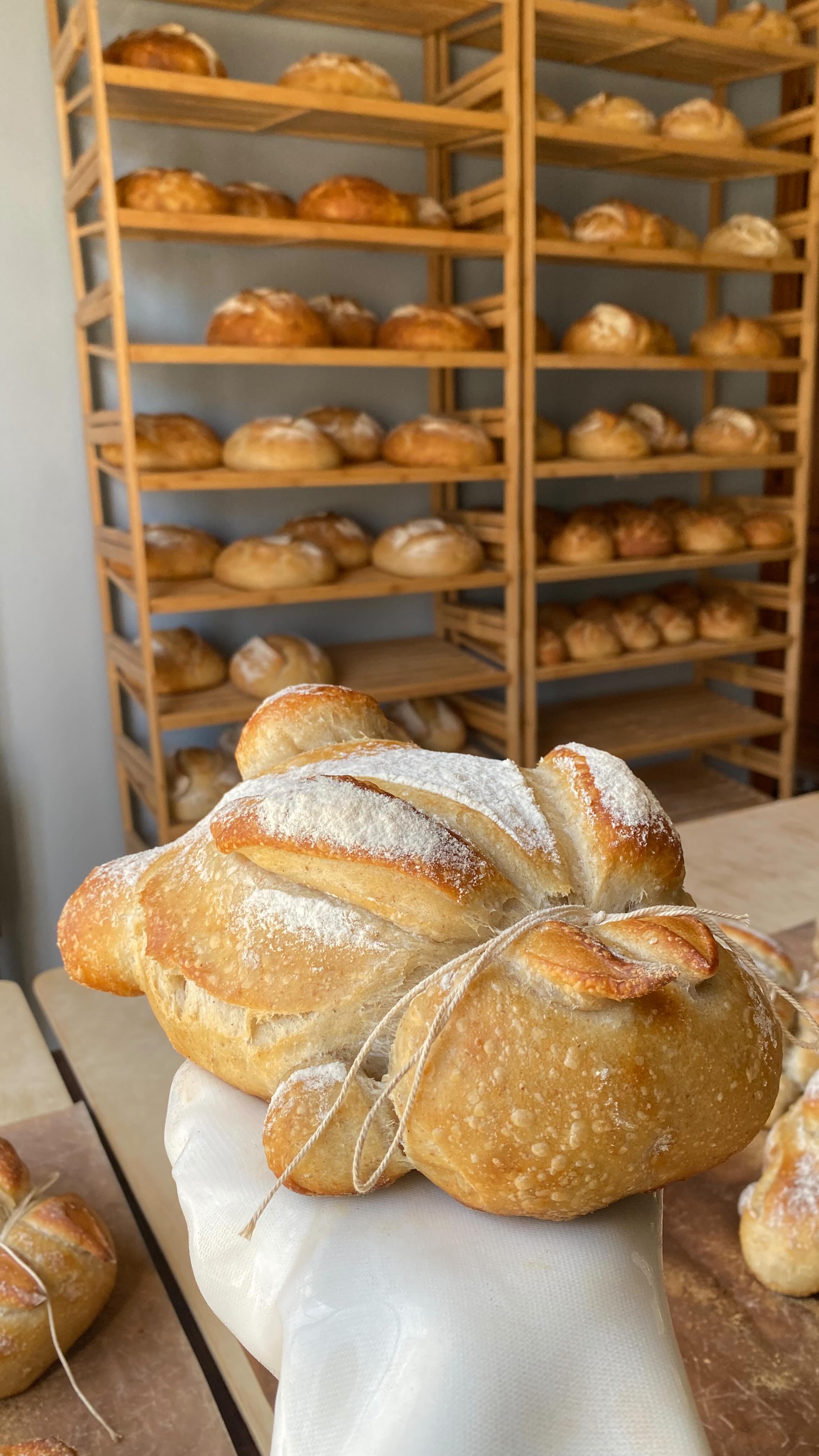 Flopsy, Mopsy, Cotton-Tail, Peter, and all of their friends and relations. 🐇🥖
The step-by-step rabbit sourdough tutorial is available in my upcoming cookbook, Plain Jane Sourdough. Link in bio to pre-order.
#sourdough #solideogloria #cottagebakery #spring #baking