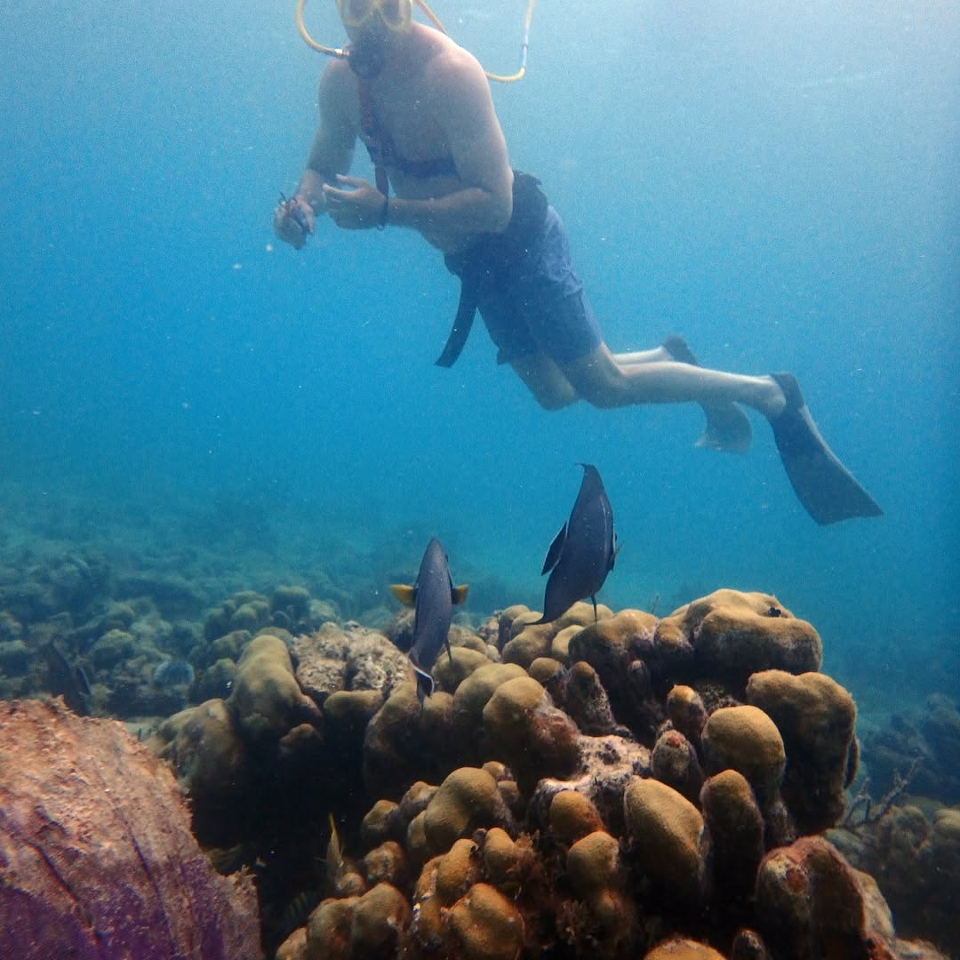 Angels hanging with a SNUBA diver.
#visnuba #caribbean #familygoals #familyfun #familylife
