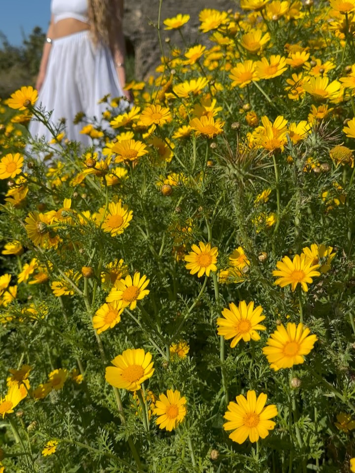 יאללה כבר שיגמרררר
מתגעגעת לעבודה
לליצור
להגשים לכן חלומות
לכלות
לבדים
לעיצוב
תודה על ימים קסומים
@nofeilon @ofirhayat @eilatmashiah
#שמלתכלה #כלות #מעצבתשמלותכלה #בוהו #חתונהבטבע