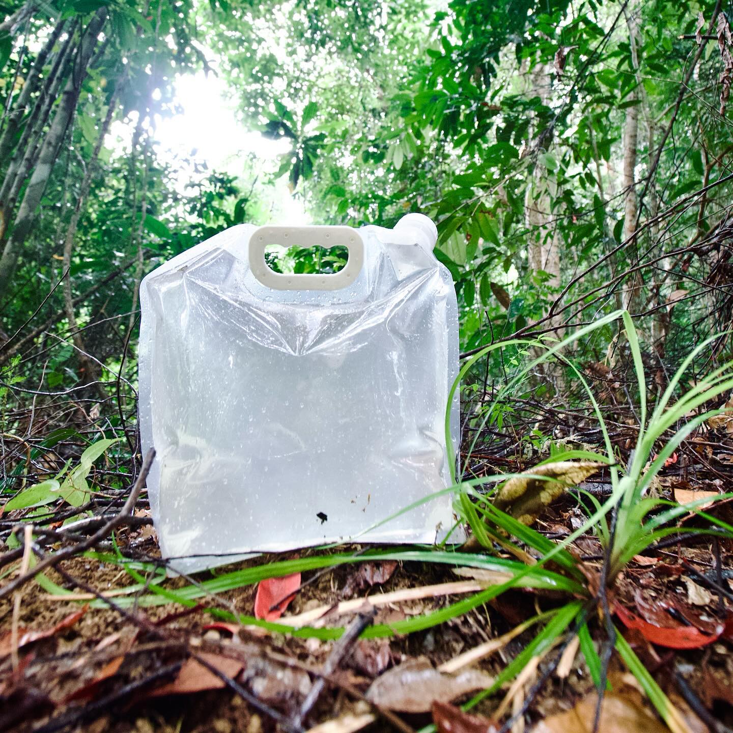 A recent #eDNA biomonitoring we performed in a temperate terrestrial streamlet satisfactorily detects many species, including the Silvery lutung (vulnerable), long-tailed macaque (endangered), and spiny turtle (endangered).
Get in touch with us contact@oceanogen.com
for further information on optimizing eDNA for your biodiversity screening in terrestrial streamlets.
📷: IS
#nature #naturepositive #eDNA #IUCN #Biodiversityscreening