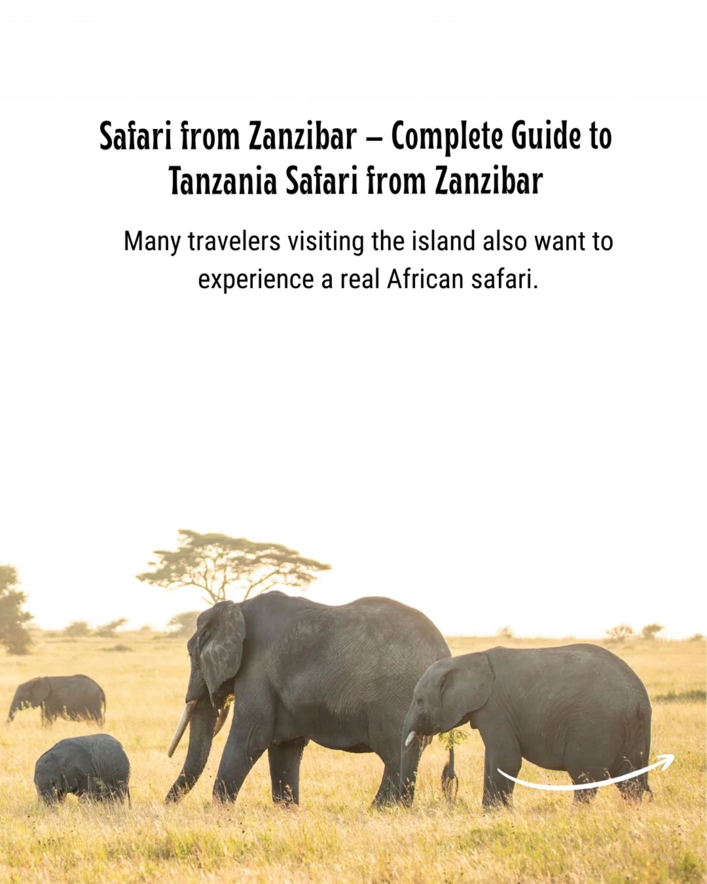🐘 Safari from Zanzibar – Complete Guide to Tanzania Safari from Zanzibar ✈️🌴
Did you know you can go on a real African safari directly from Zanzibar?
Many travelers enjoy the beaches of Zanzibar and then fly to the mainland to explore famous parks like Serengeti National Park, Ngorongoro Crater, Tarangire National Park, and Nyerere National Park.
✈️ Easy domestic flights from Zanzibar
🐘 Big Five safari experience
🌍 Short trips from 1–5 days available
🏝 Perfect beach + safari combination
📸 Best for couples, honeymoon & family trips
✔ 1 Day safari → Nyerere / Mikumi
✔ 2–3 Days safari → Tarangire / Ngorongoro / Serengeti
✔ 4–6 Days safari → Full Northern Circuit
✔ Fly-in safaris available every day
If you want the perfect Tanzania trip, combine Safari + Zanzibar Beach Holiday.
Read full guide here:
🔗 https://www.gnadesafaris.com/post/safari-from-zanzibar
Plan your safari with Gnade Safaris
🌍 www.gnadesafaris.com
📧 info@gnadesafaris.com
📱 WhatsApp +255793832959
#ZanzibarSafari #TanzaniaSafari #Serengeti #Ngorongoro #Tarangire Nyerere AfricanSafari VisitTanzania BeachAndSafari GnadeSafaris 🐘🌴✈️