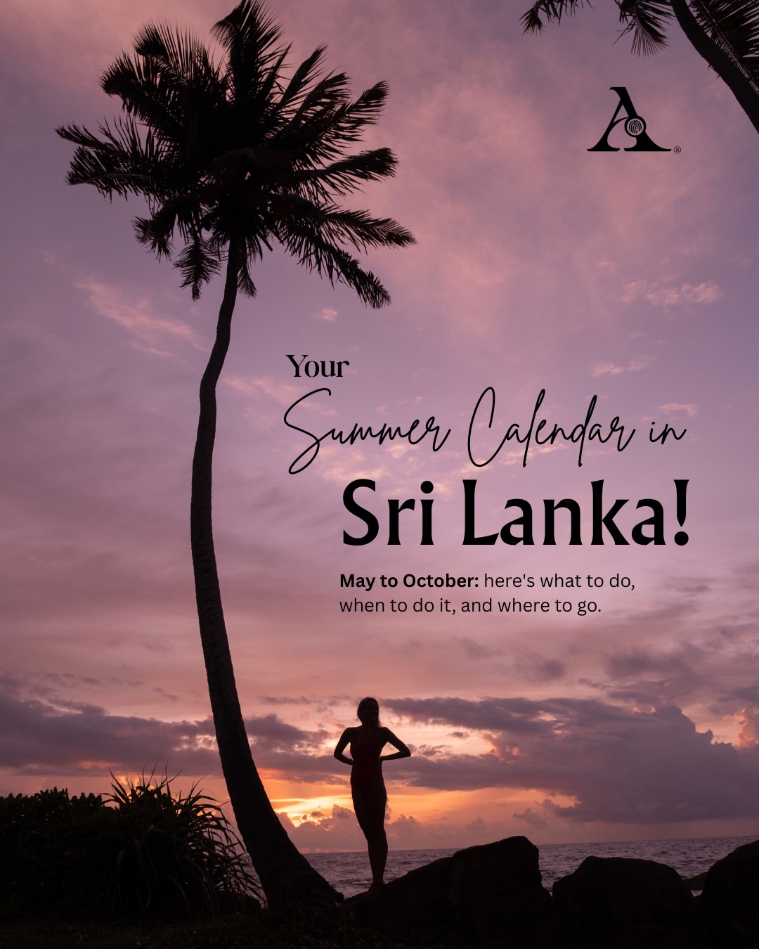 Sri Lanka in summer is something else!
From surfing the waves to watching 150 elephants gather, the island is at its most alive between May and October.
Swipe through your full summer calendar
Whether you’re after adventure, culture, wildlife, or a bit of everything, we’ll build your perfect Sri Lanka itinerary.
Drop a 🌴 in the comments if Sri Lanka is on your list, or send us a DM to start planning.
#AceTravelSriLanka #AceDiaries #SummerDestinations #TravelPlanning #SriLanka