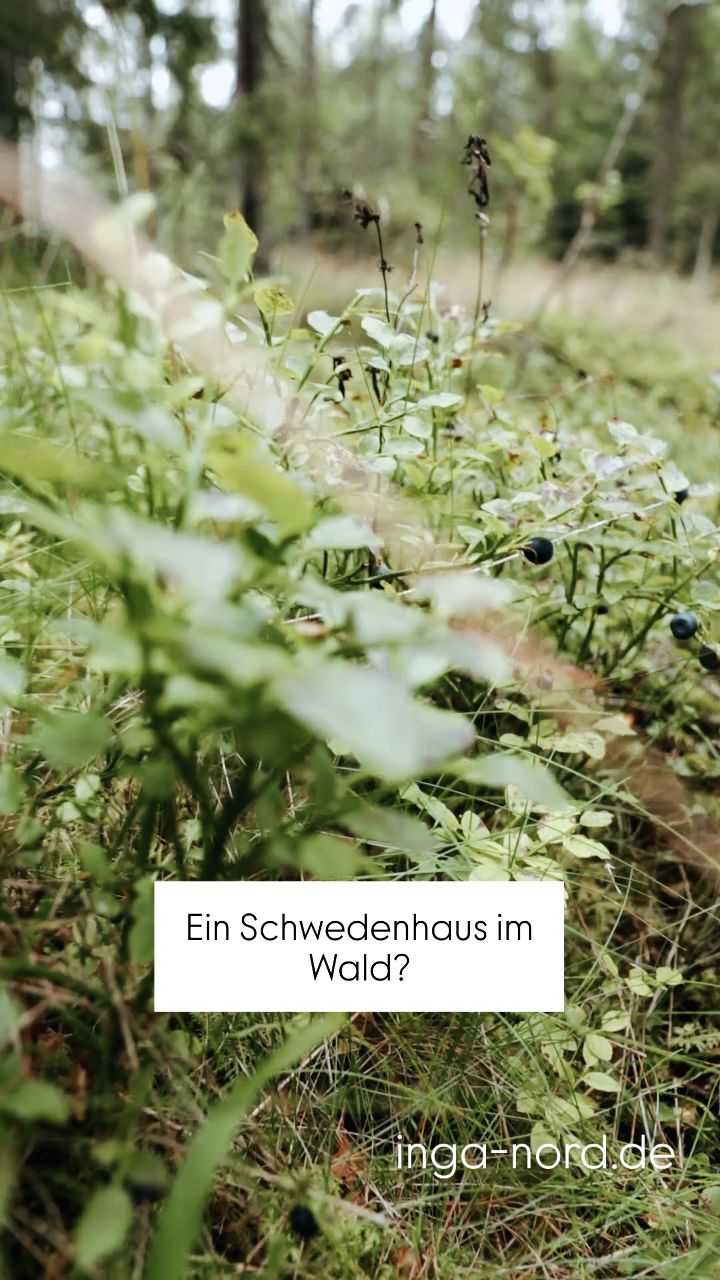 Episode 2 unserer Serie: Häuser in Schweden
🌲Waldhaus🌲
Und plötzlich kommen Sie an eine Lichtung und vor Ihnen liegt ihr kleines Schwedenhaus. Ihre Oase, mitten in der Natur, umgeben von Bäumen, weichem Moos und fernab vom Trubel. Hier werden Sie die kommenden Wochen verbringen. Und schon beim Ankommen spüren Sie, wie sich alles verlangsamt –
wie Ruhe einkehrt.
Wäre das etwas für Sie?
Schauen Sie doch gerne auf inga-nord.de vorbei, stöbern durch das Exposé und unser Portfolio und wir würden uns über eine Kontaktaufnahme sehr freuen!
🇳🇱 En ineens sta je daar op een open plek, midden in het bos voor jouw kleine Zweedse huis. Jouw Oase, omringd door bomen, het zachte mos onder je voeten en ver weg van de drukte. Hier zult je de komende weken doorbrengen en je voelt meteen hoe alles vertraagt en rust inkeert.
Zo voelt Zweden.
Zou dit iets voor jouw zijn?
Ontdek meer op inga-nord.de of stuur een berichtje!
#waldhaus #hausinschweden #schwedenimmobilien #lebeninschweden #slowliving