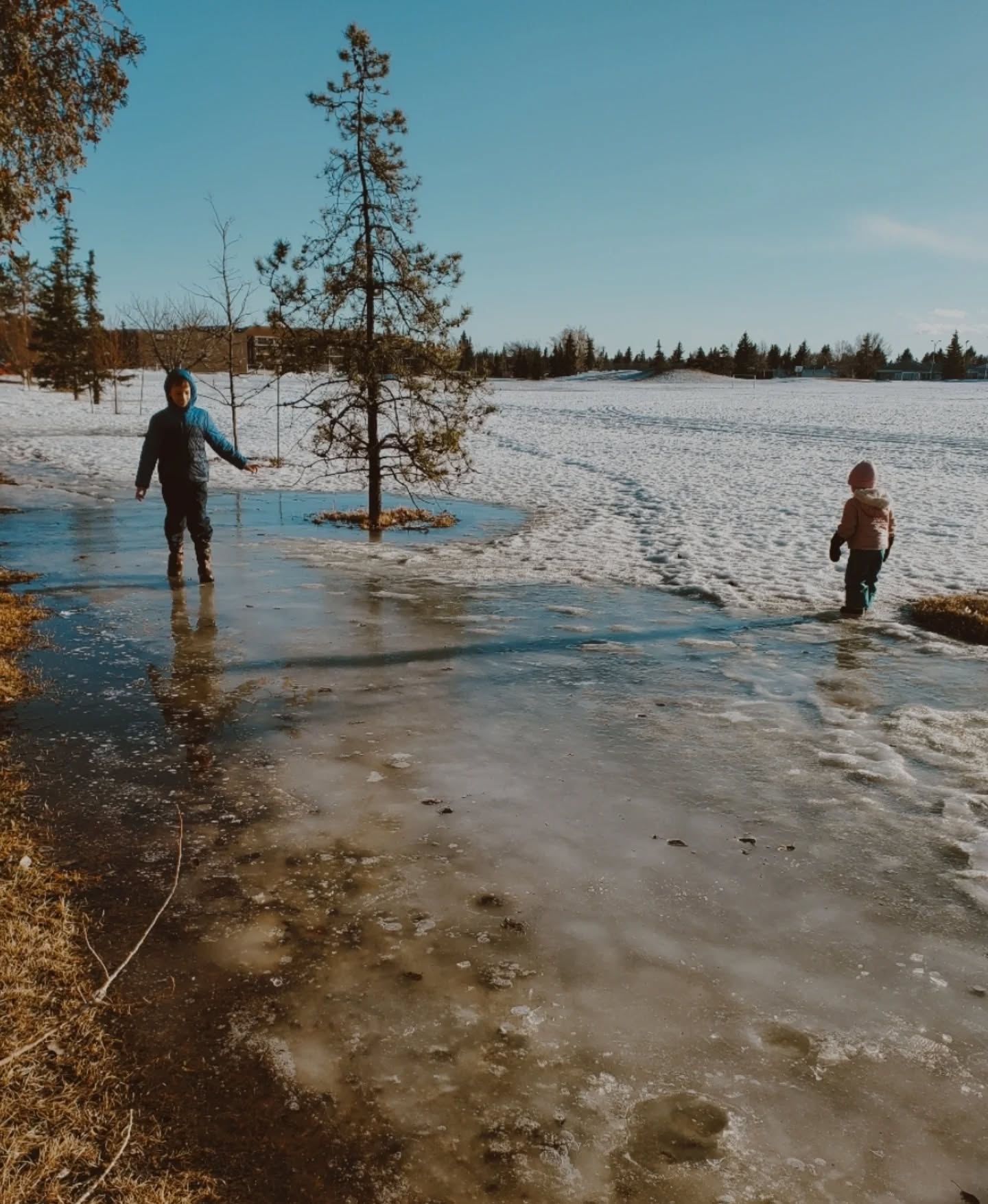 A glimpse of March! ☘️💕