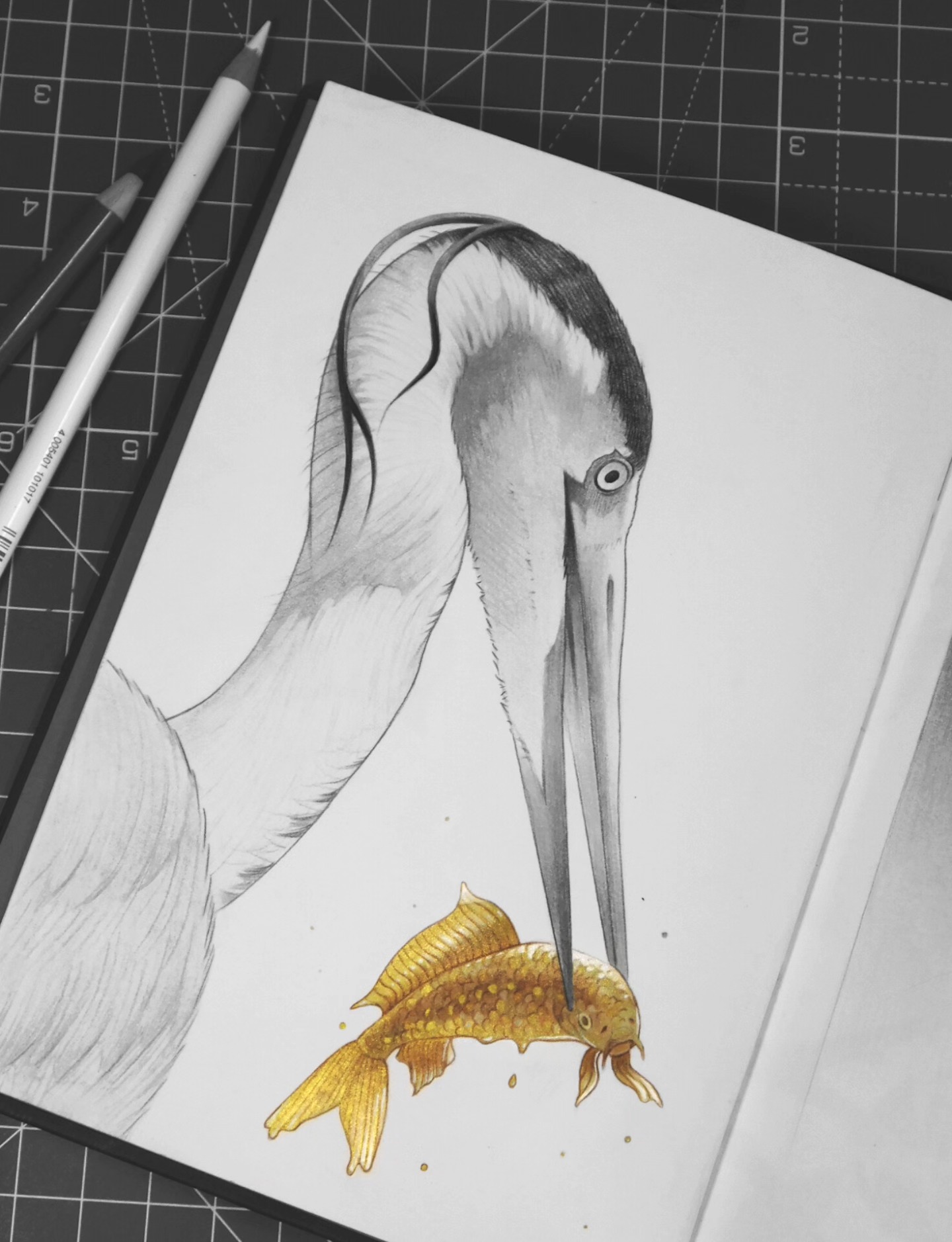 Some recent additions to my black & gold themed sketchbook, inspired by some recent walks along the river where blackberries are starting to ripen 🖤
-
#drawingoftheday #sketchbook #artistsofinstagram #illustration