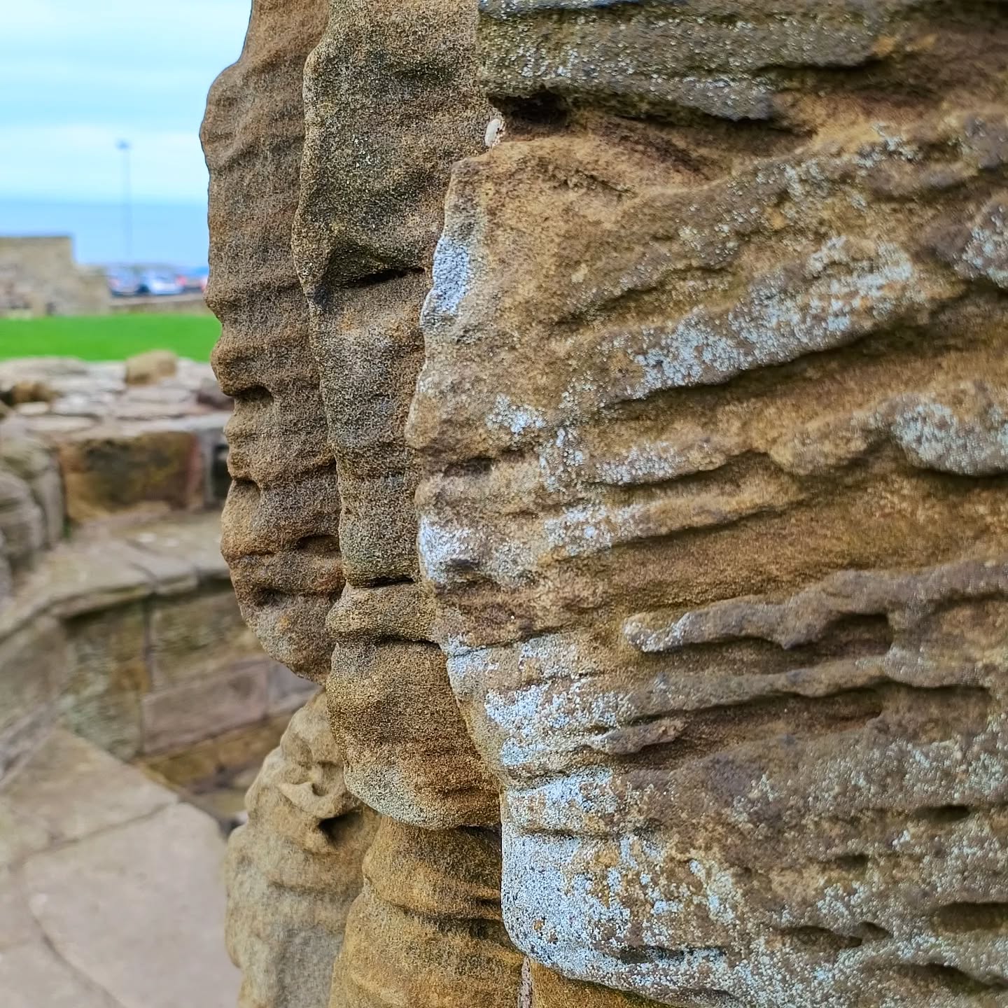 Faces everywhere!
All I could see in the weathered stone walls and pillars of Whitby Abbey was faces! Natural gargoyles, made by the elements are coming out to join us as the building decays. Anyone else noticed this?!
Netti x
#gothofinstagram #gotharchitecture #abbeysofinstagram #gothtravel #dracula #whitbygoth #project_necropolis #infinity_gothic #gothbeauty #stonemasonry #ancient #ancientbuilding #ancientarchitecture #britishhistory #yorkshirecoast #whitbyabbey #whitbybphotography #yorkshirephotographer