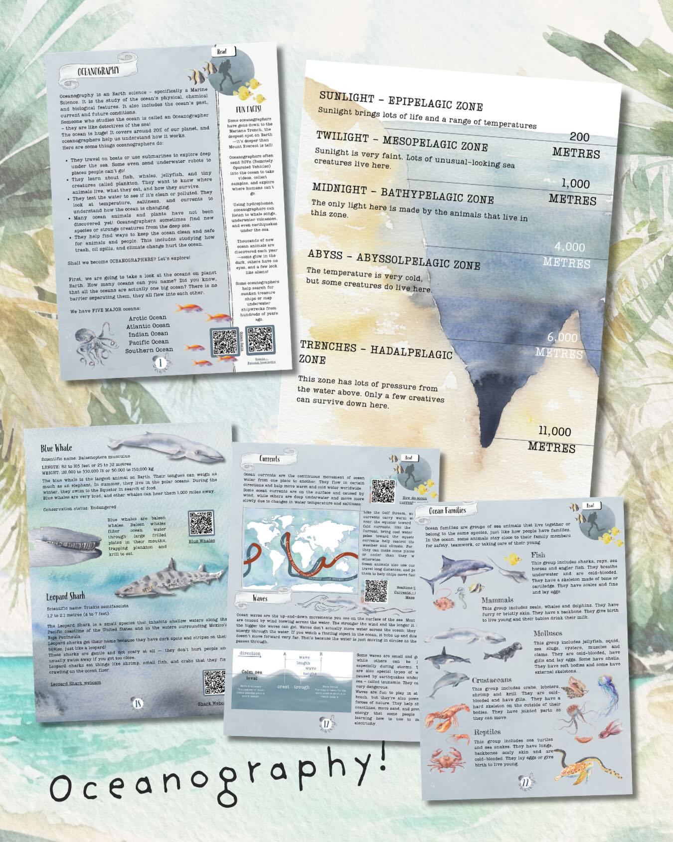 🌊 Let’s Explore Oceanography is a fun and engaging lesson plan all about the ocean, designed for children aged 5–12 years. 🌊
Kids will discover ocean facts, learn about the layers of the ocean, explore amazing ocean animals, and understand why protecting our oceans is so important.
Perfect for classrooms, homeschooling, or curious young explorers who love learning about the sea.
.
#oceanography #learningresources #homeschoolers