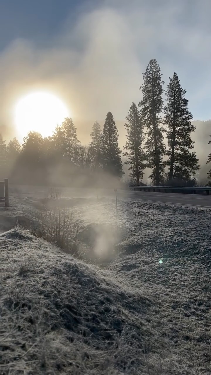 Ward’s is proudly heated using sustainable geothermal water. Naturally hot water is piped through our system and into geothermal heaters, where it heats coils. Air is then blown over these heated coils and pushed through long plastic tubes that run the length of the greenhouse. Small holes along the tubes allow the warm air to gently disperse throughout the space, creating an even, comfortable environment for our plants to thrive—all powered by clean, renewable geothermal energy.